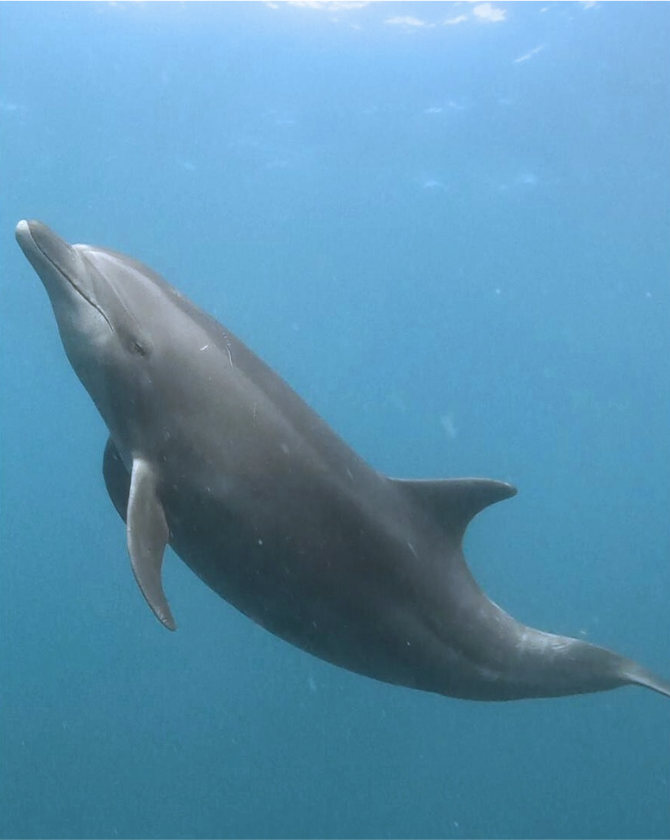 Screenshot 2024-07-02 at 16.17.41.png