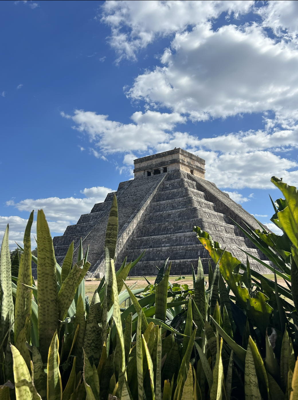 Screenshot 2024-07-09 at 19.38.15.png