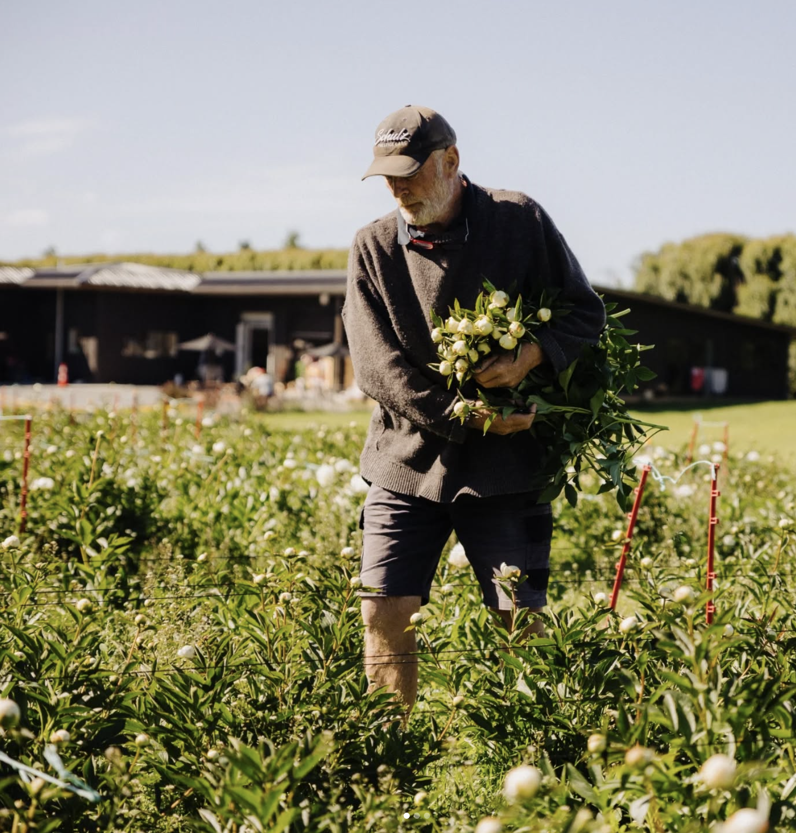 Screenshot 2025-06-05 at 2.10.34 PM.png