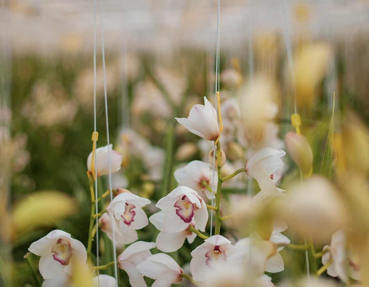 Screenshot 2024-06-17 at 1.58.38 PM.png