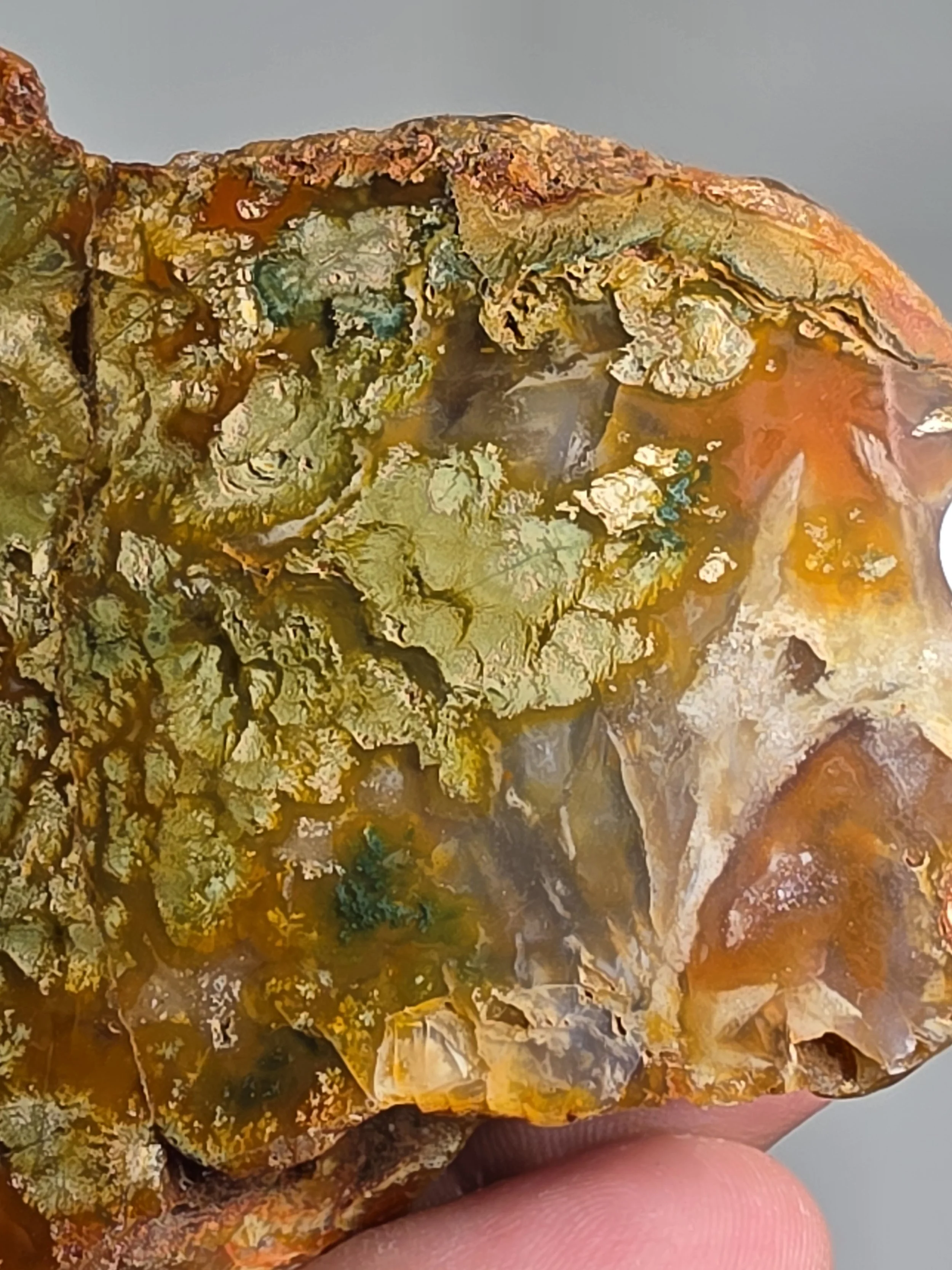 20260916_164437.jpg
