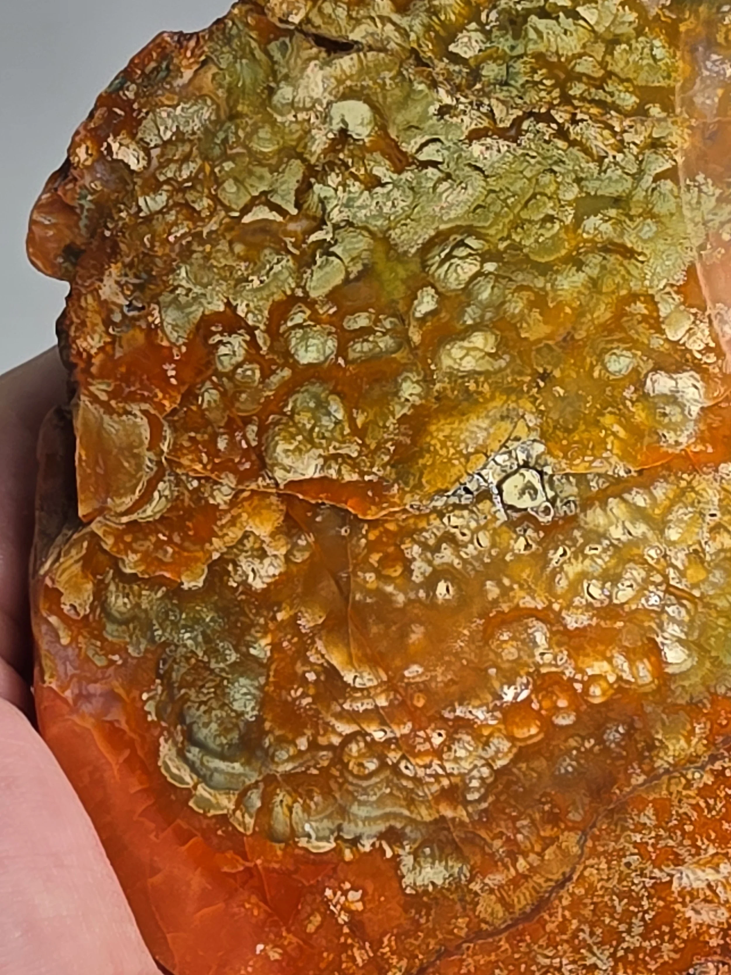 20260916_164429.jpg