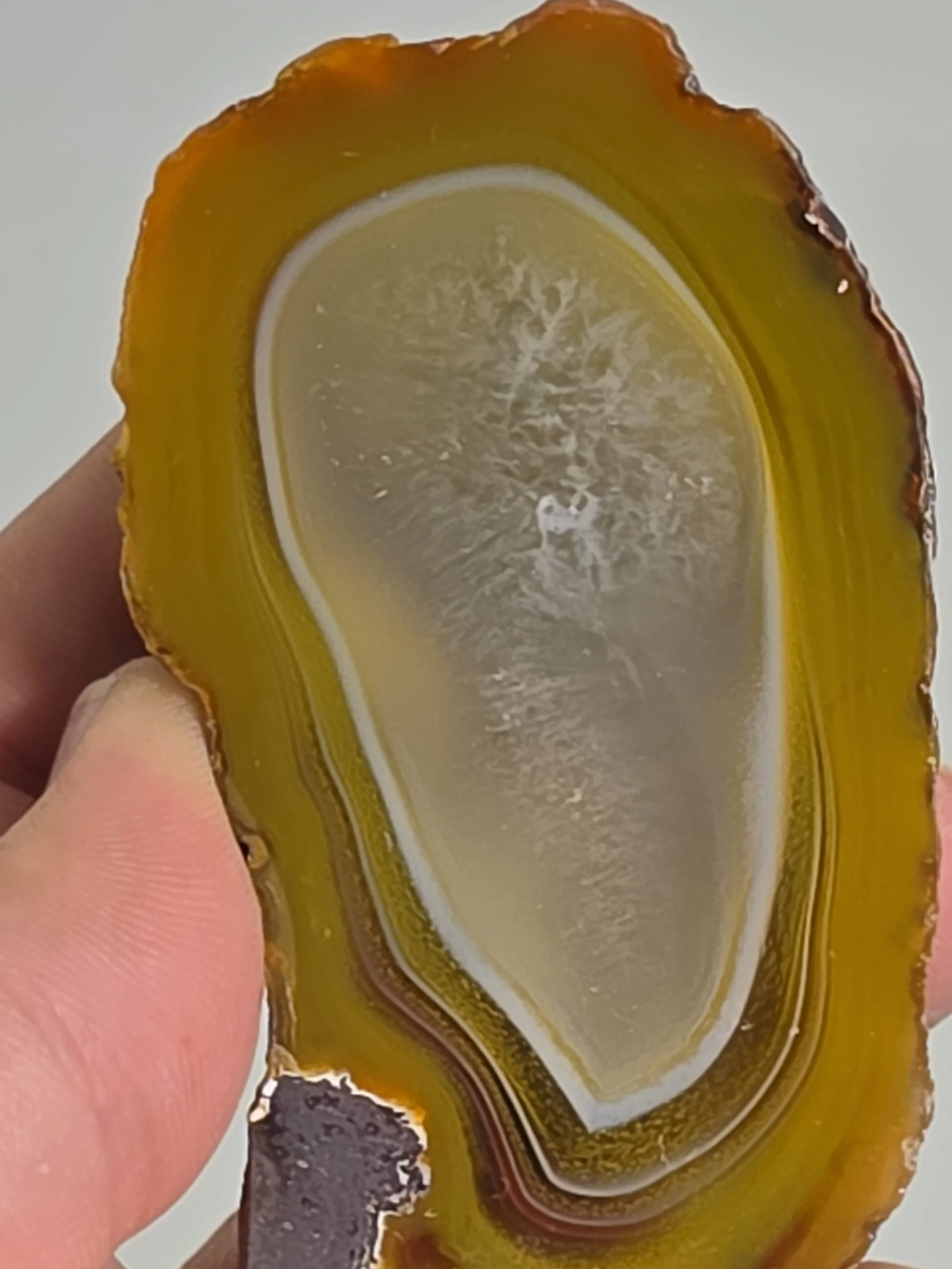 20260916_164256.jpg