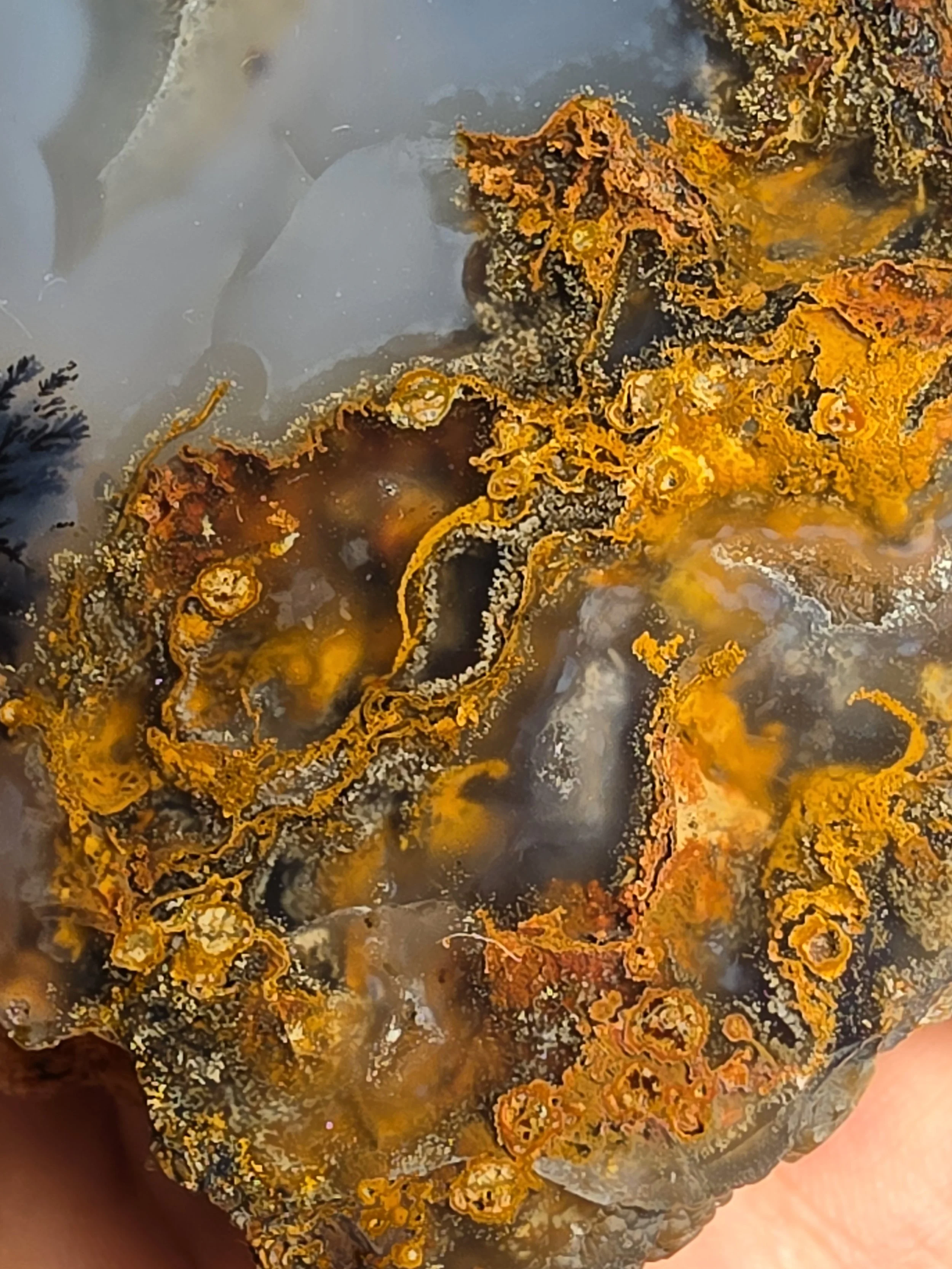 20260916_163934.jpg