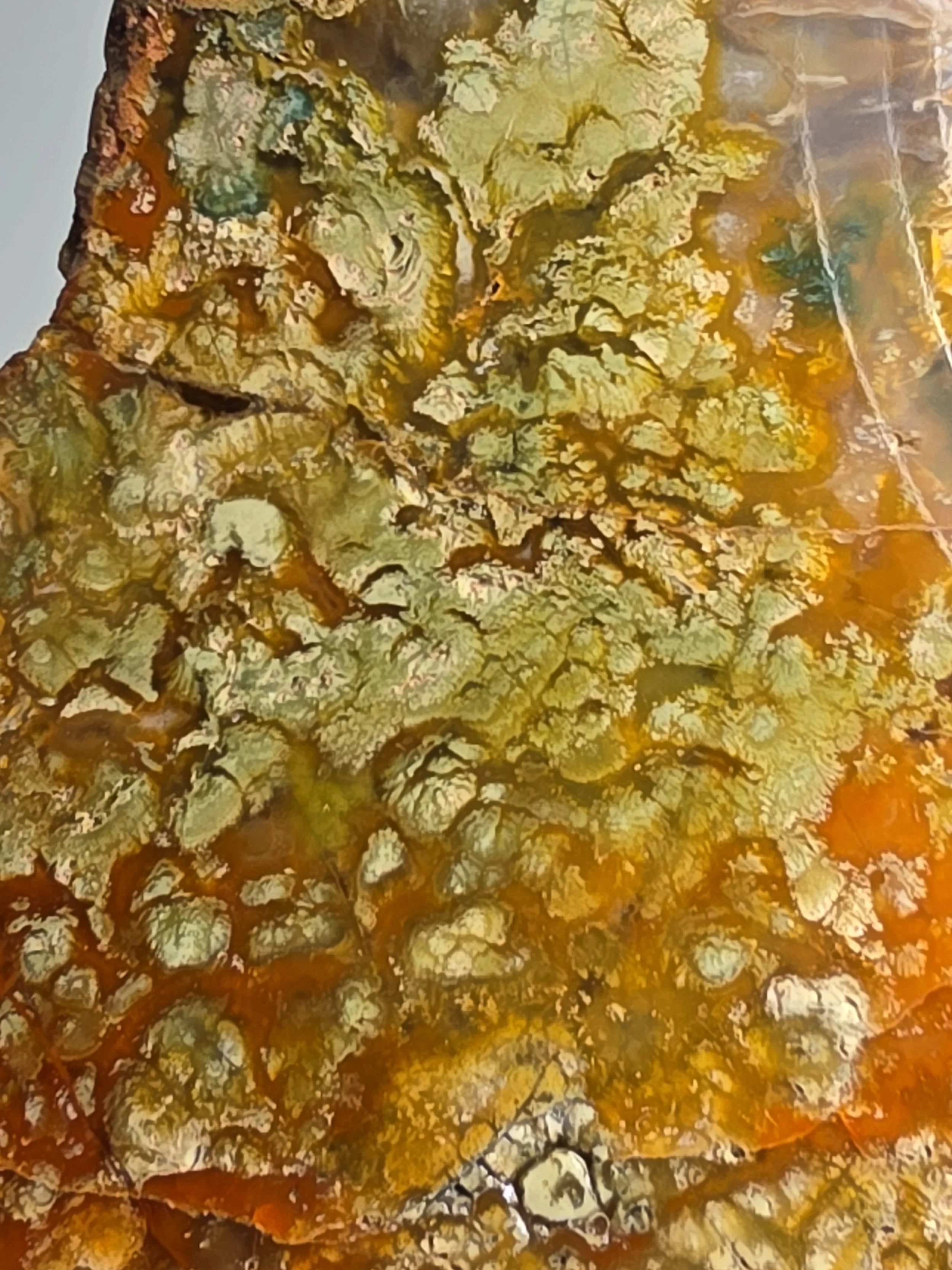 20260916_164432.jpg