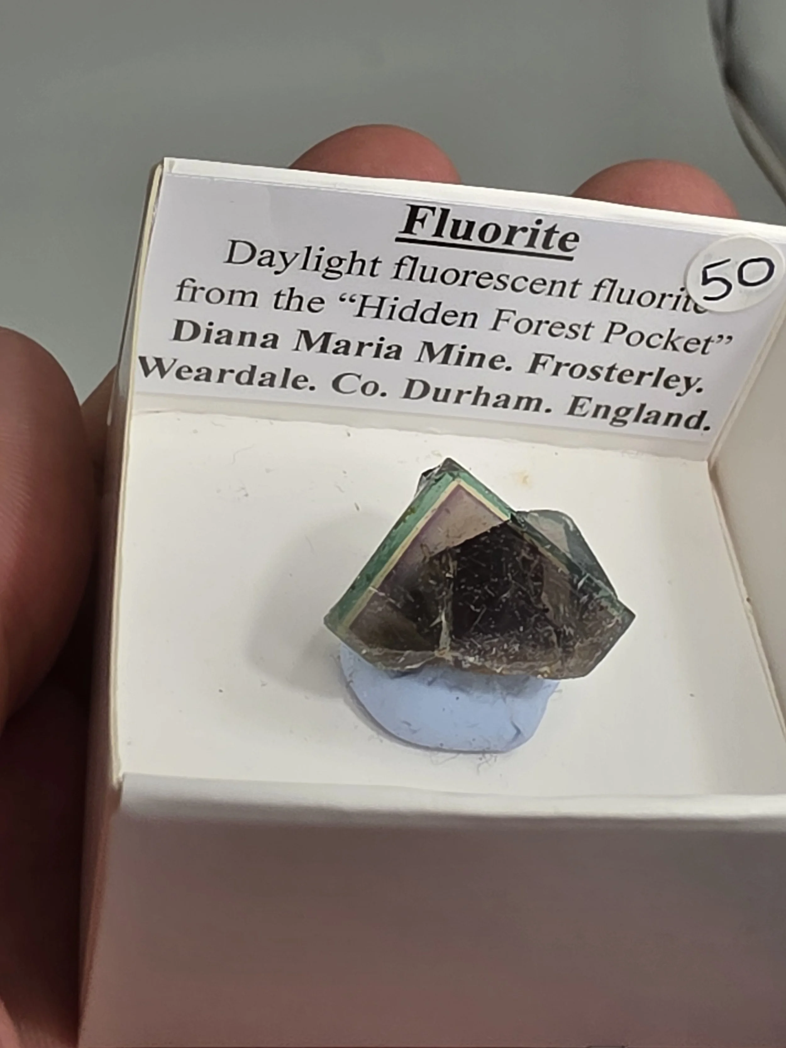 20260721_114035.jpg