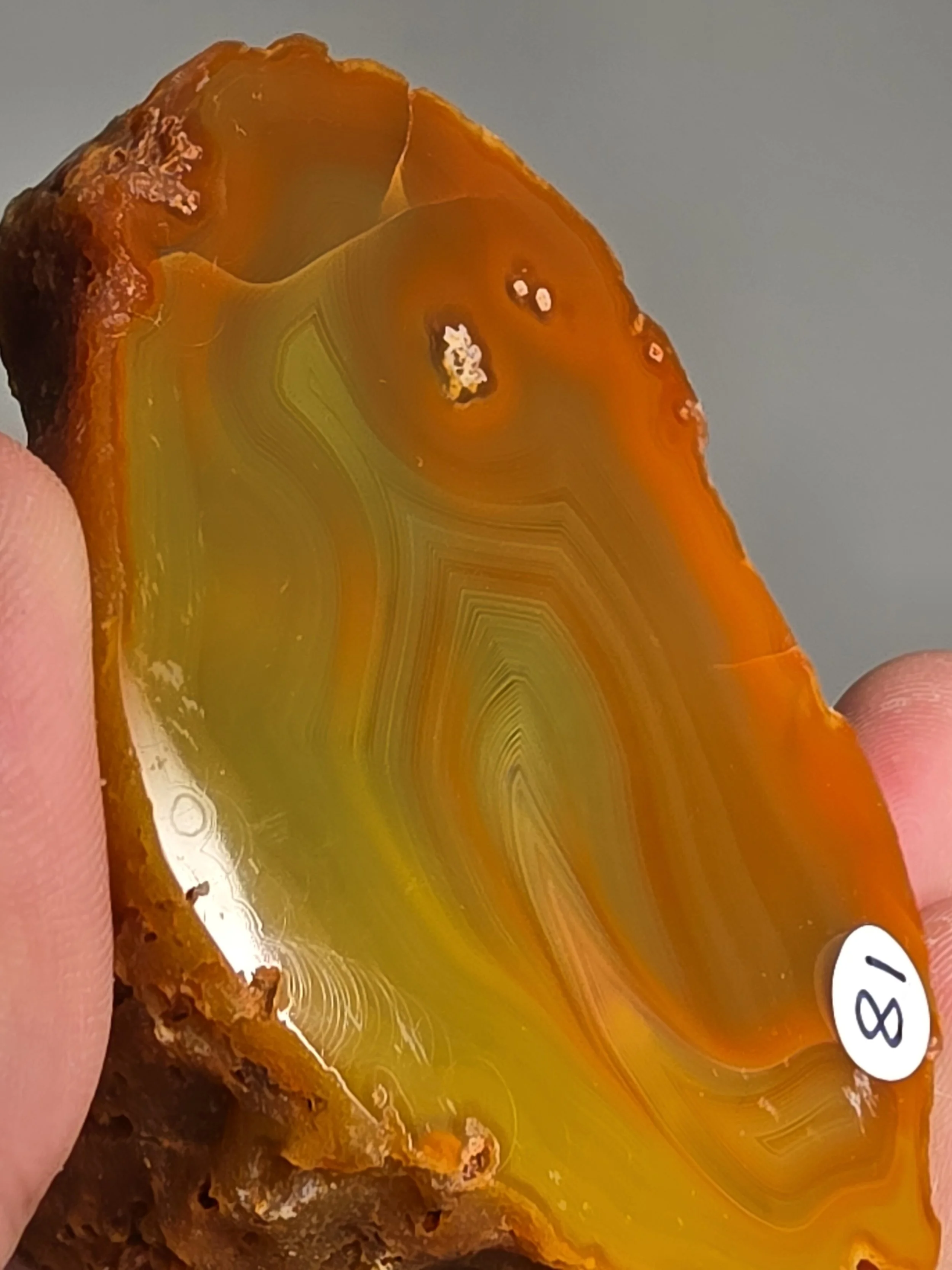 20260916_163825.jpg