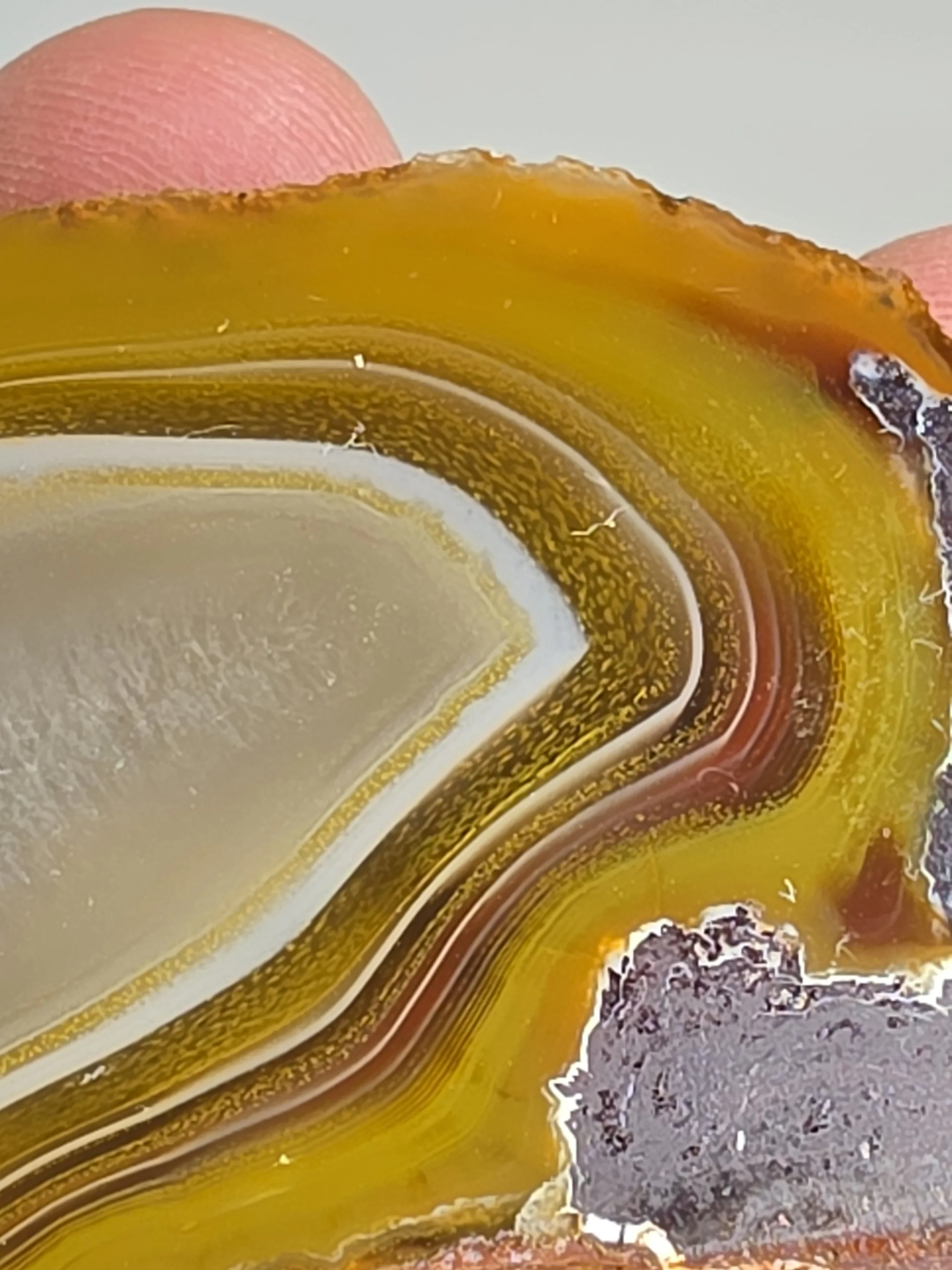 20260916_164248.jpg