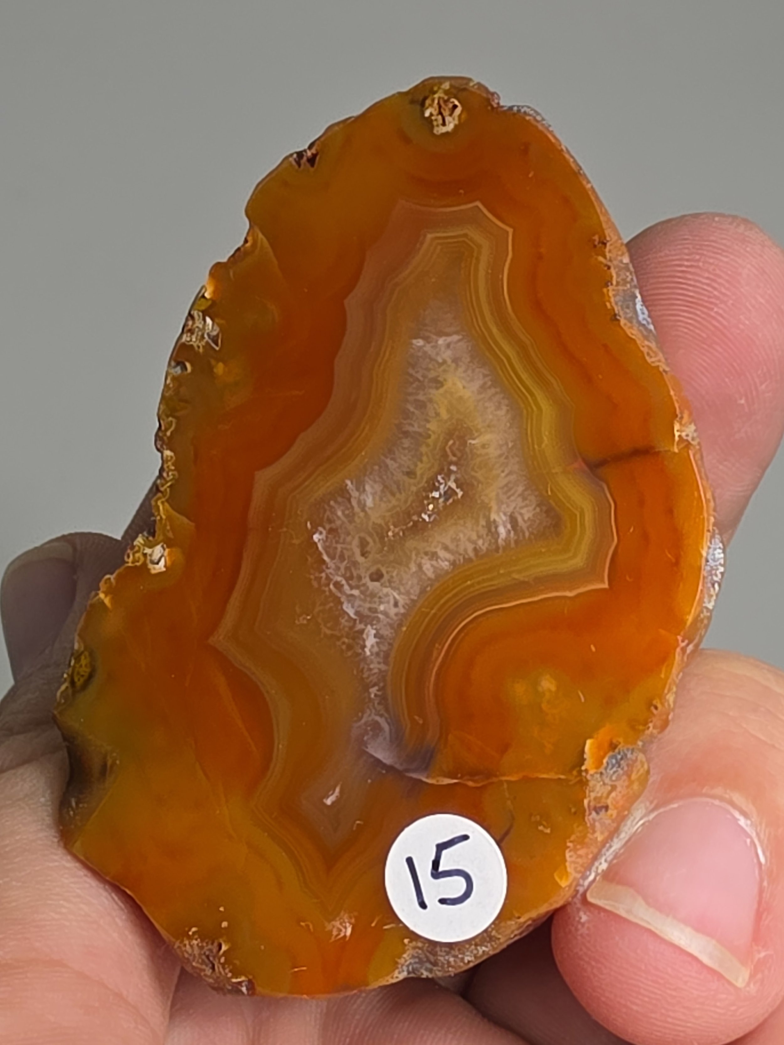 20260916_164055.jpg