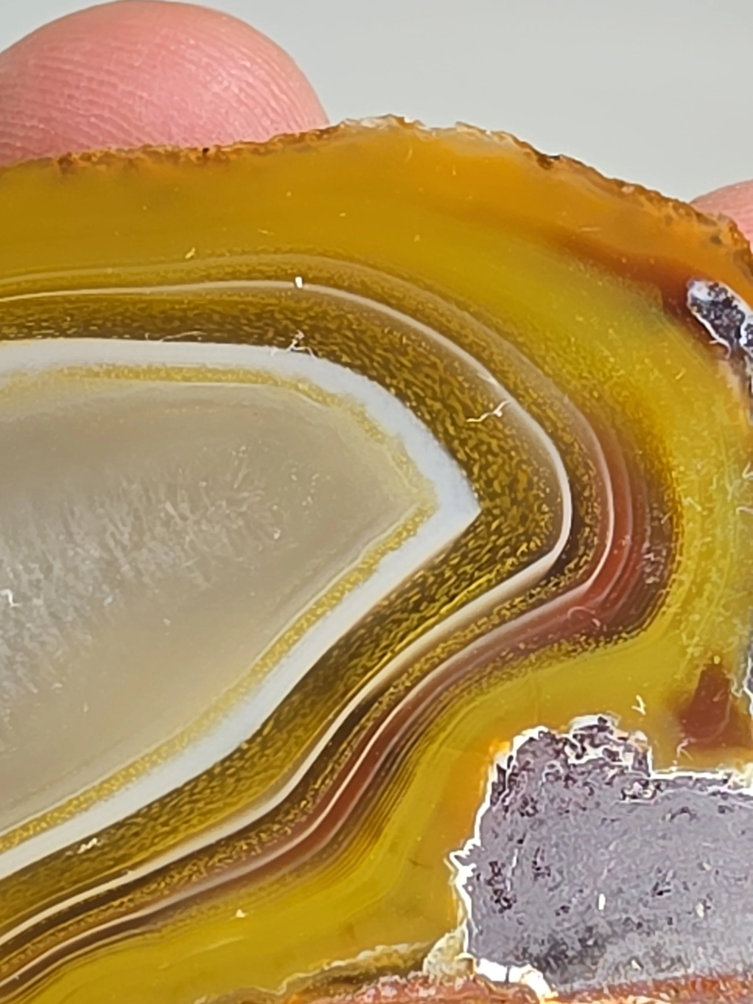 20260916_164250.jpg