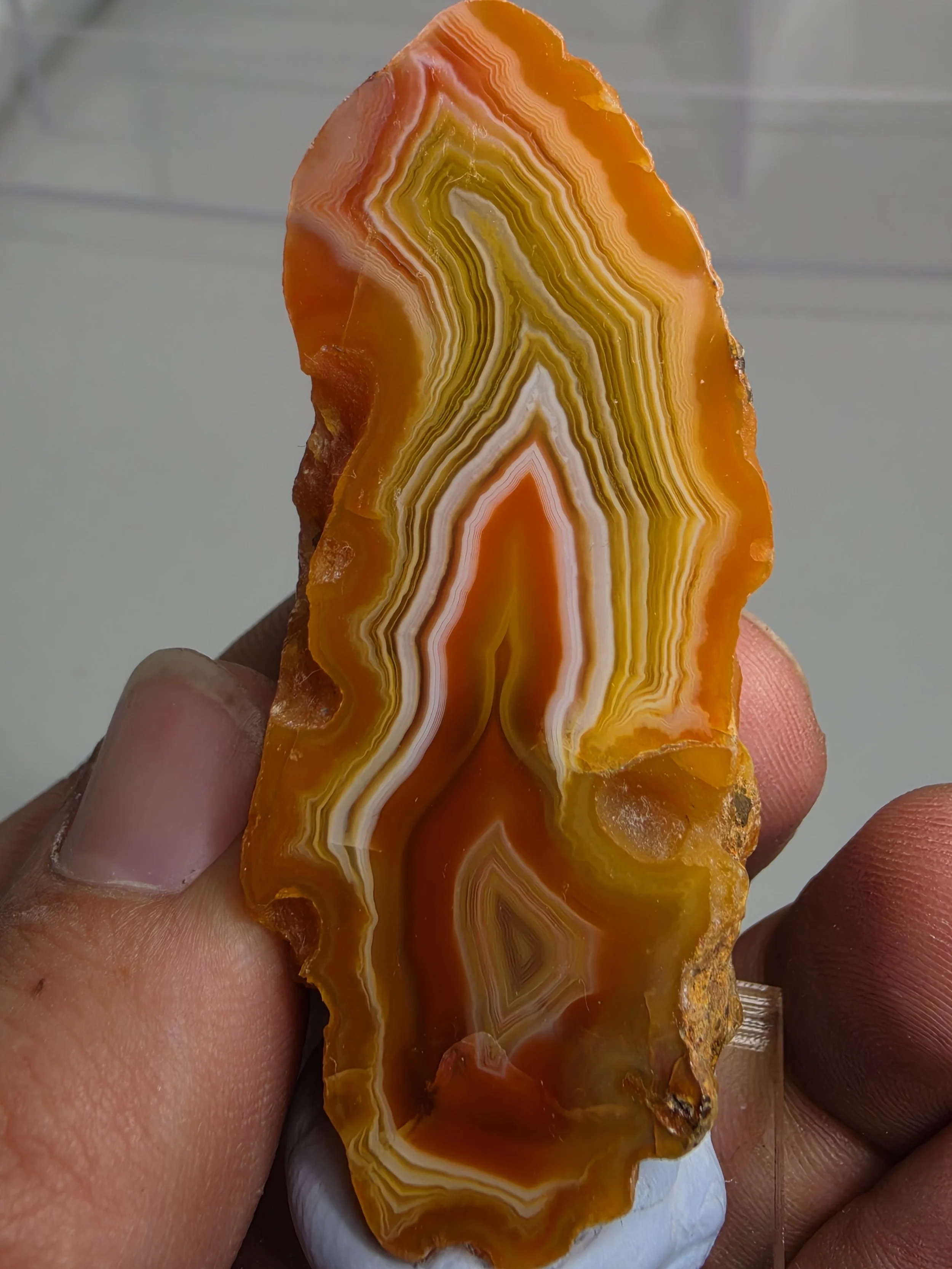 20260921_162538.jpg