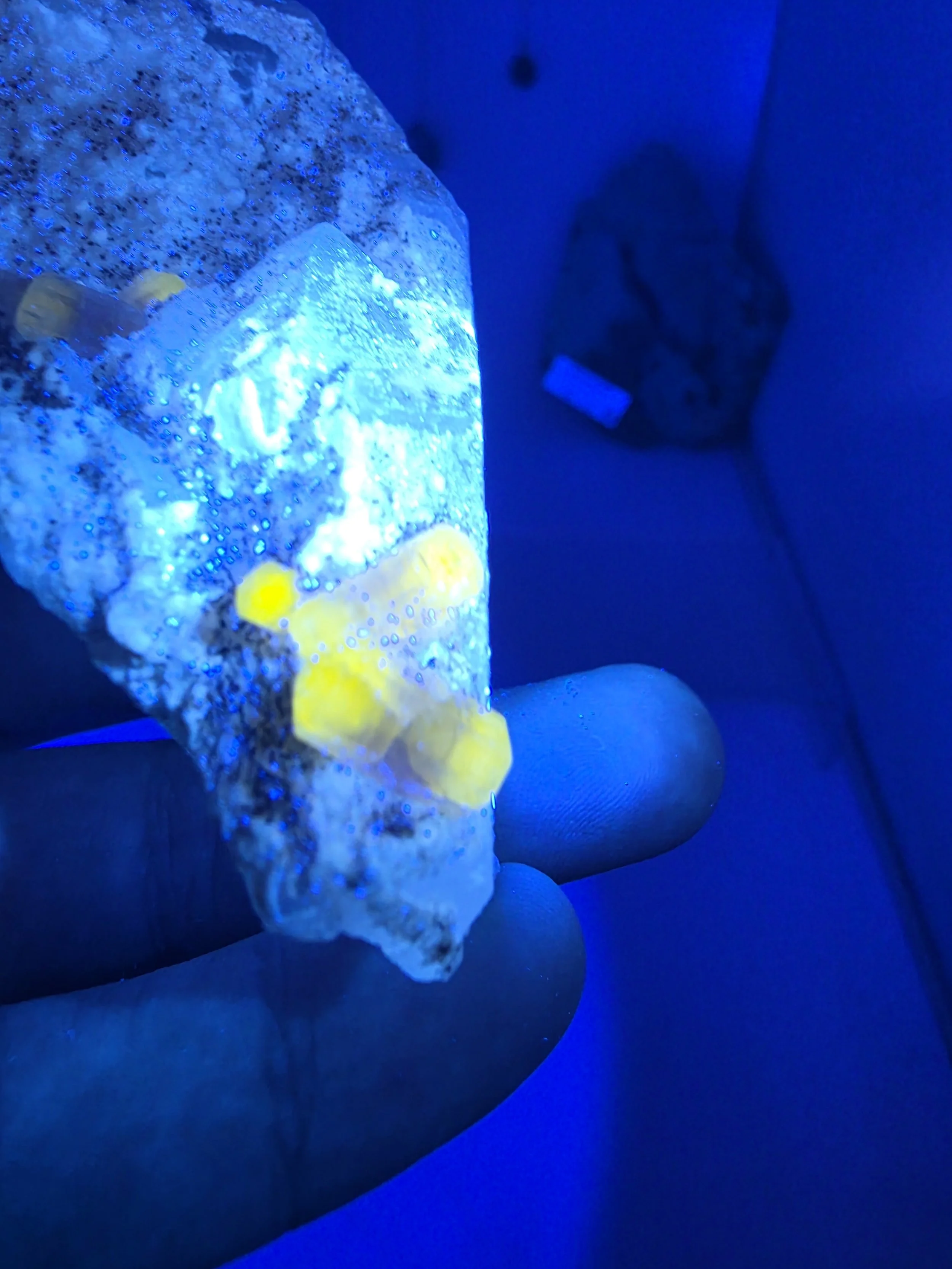 20260810_150857.jpg