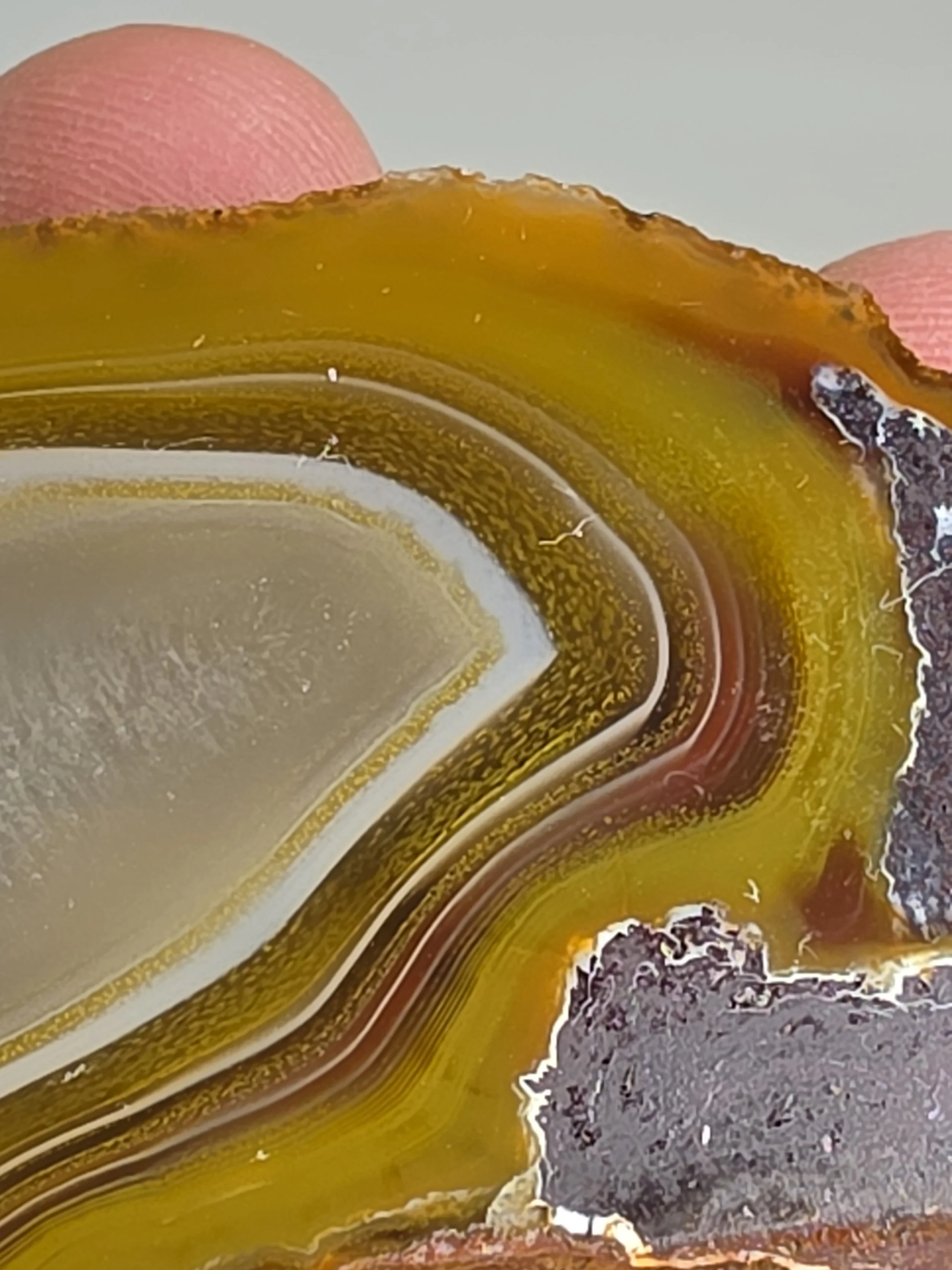 20260916_164247.jpg