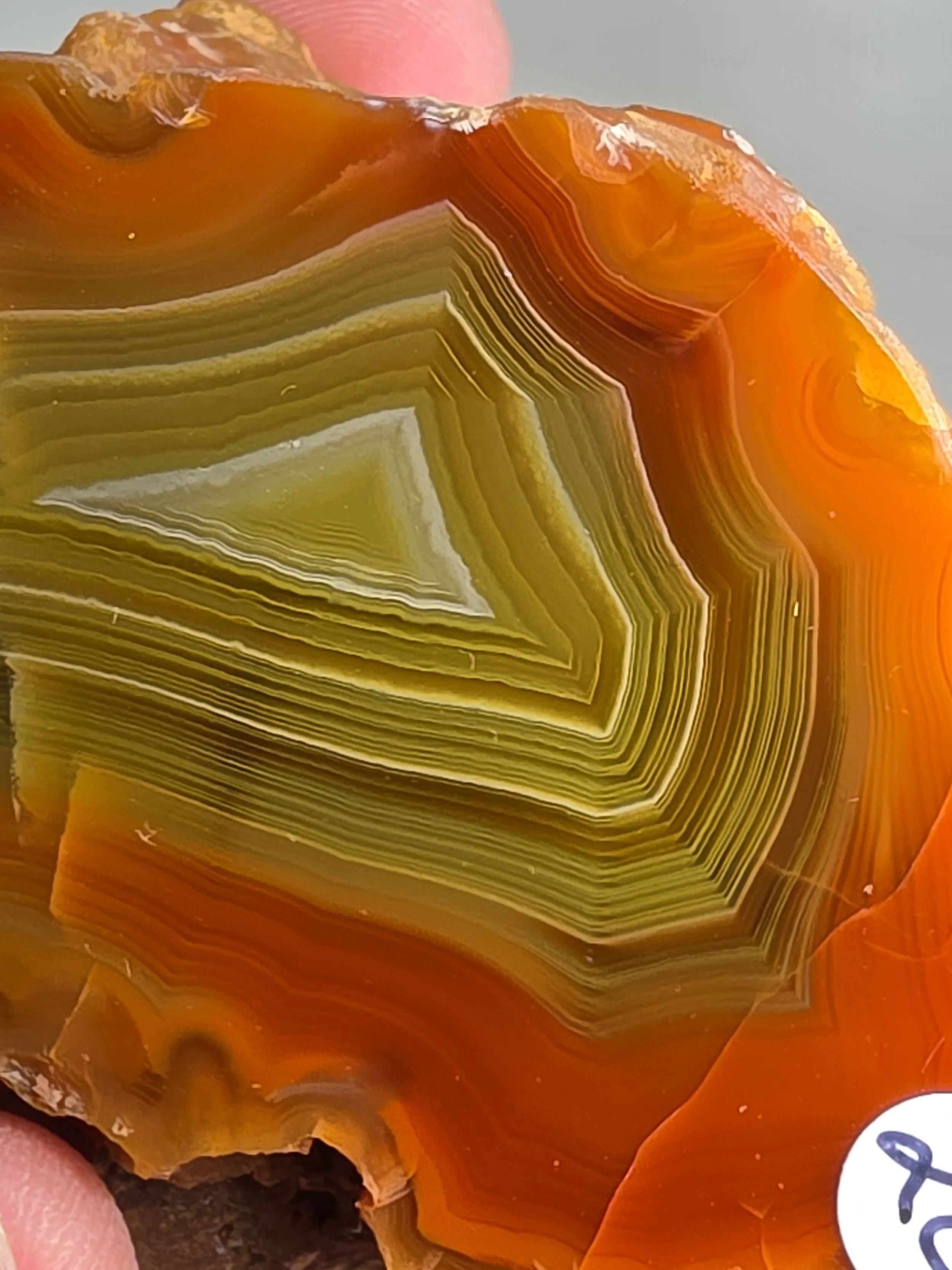 20260916_164020.jpg