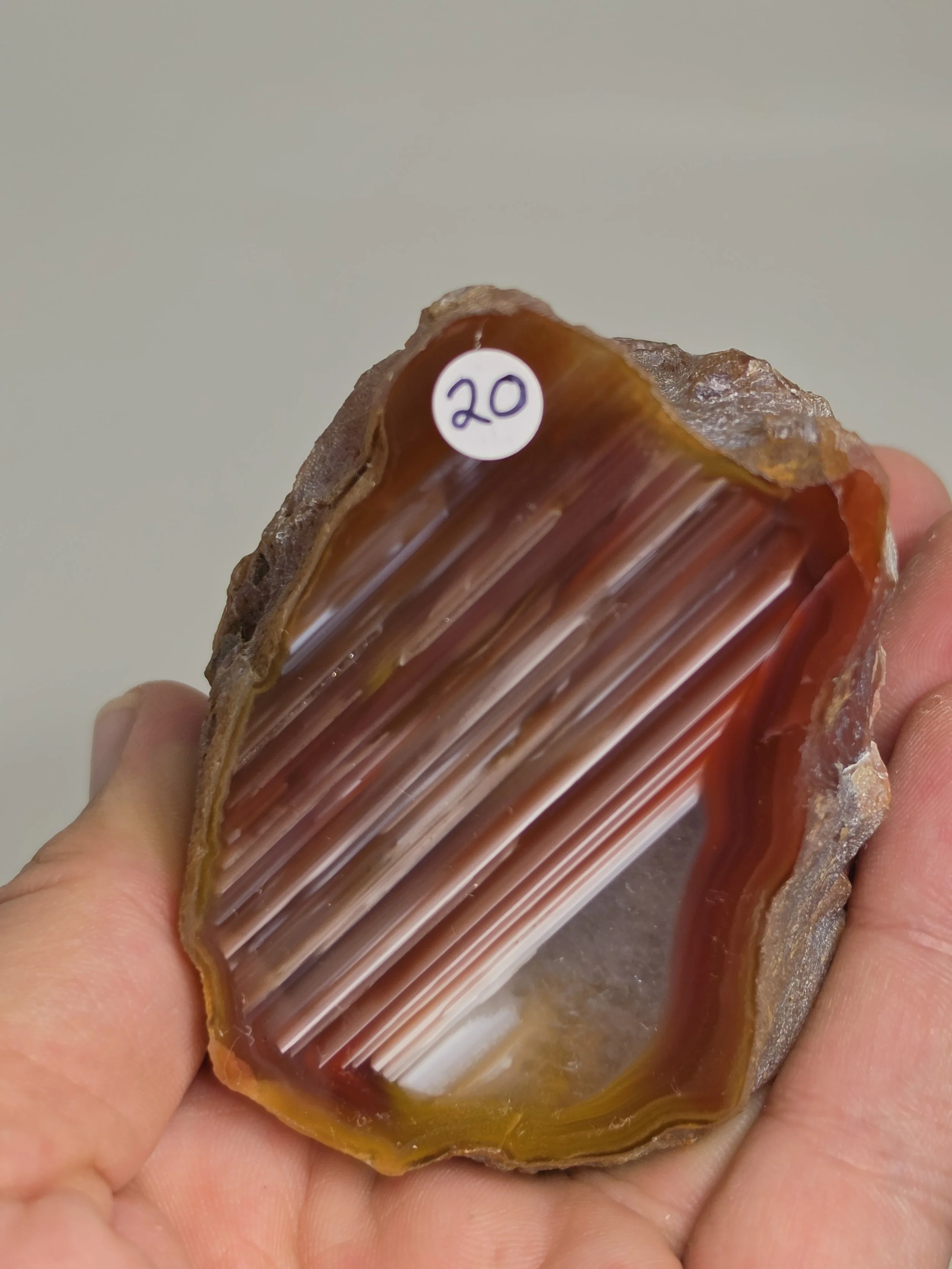 20260916_163855.jpg
