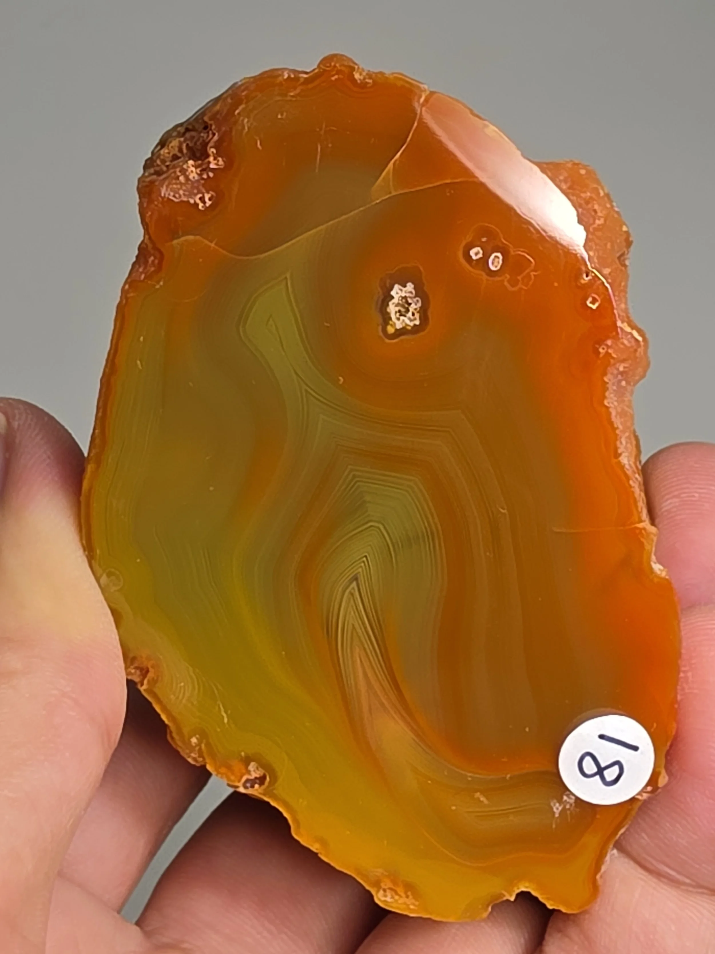 20260916_163830.jpg