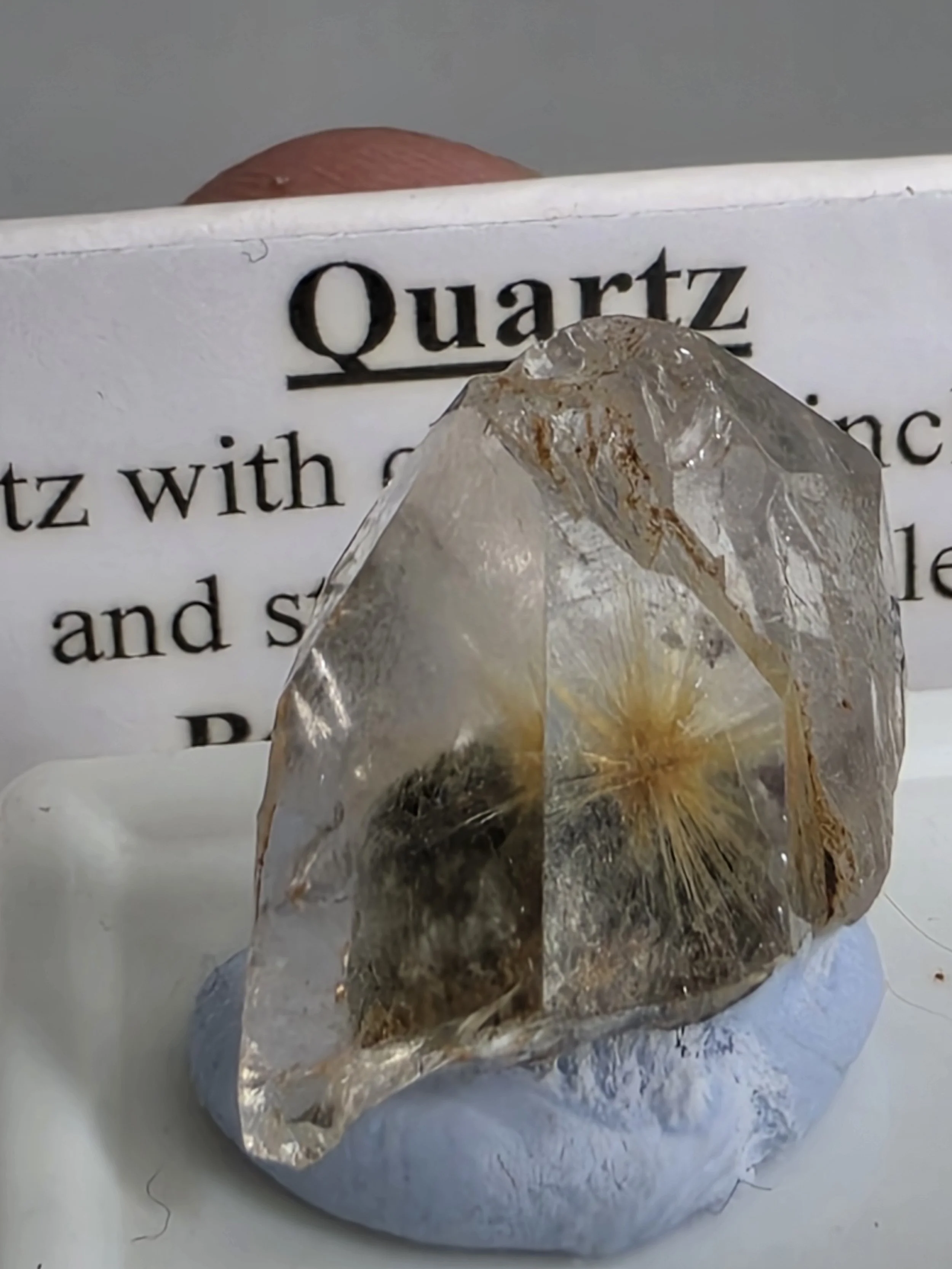 20260721_113547.jpg