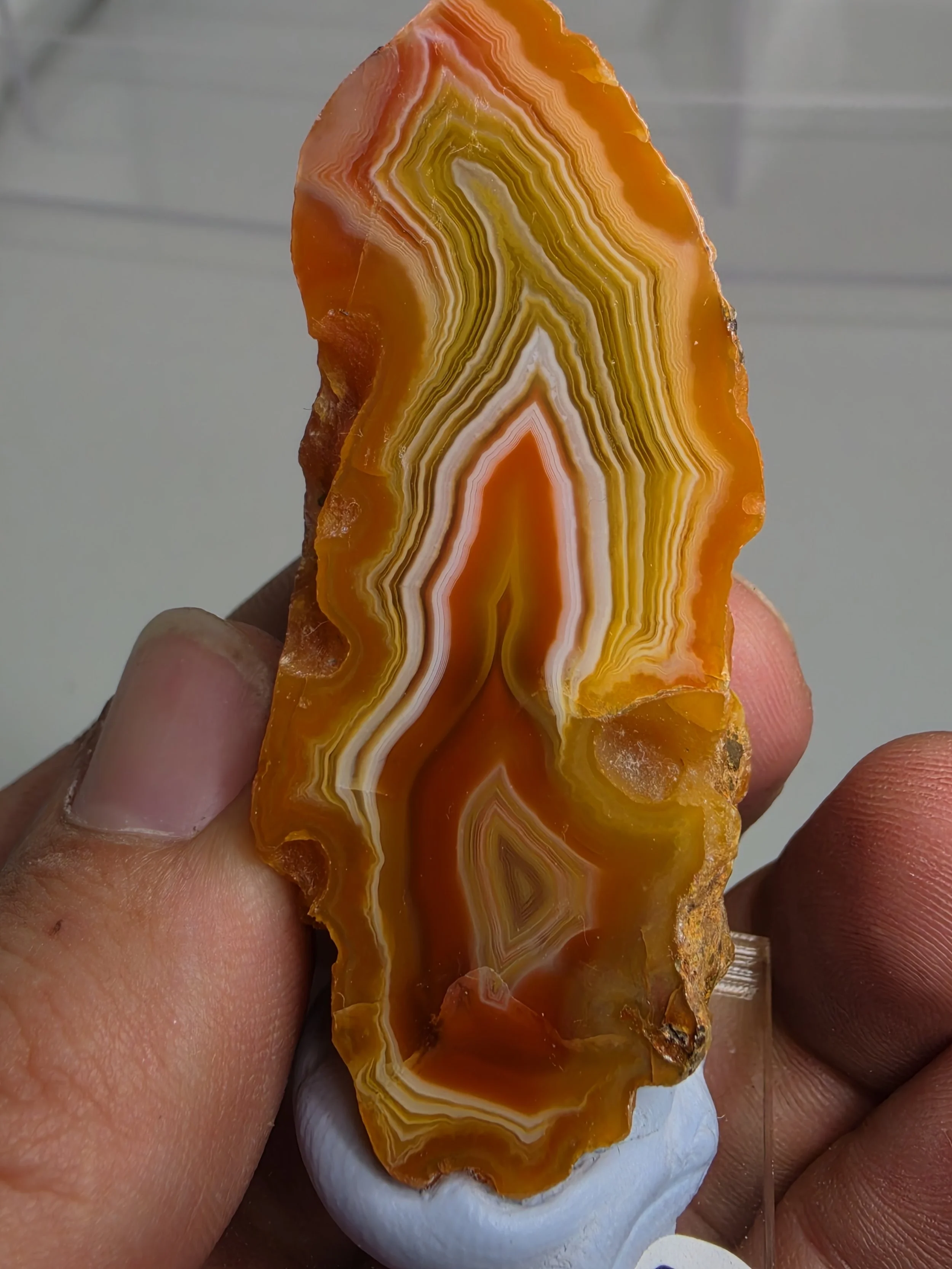 20260921_162537.jpg