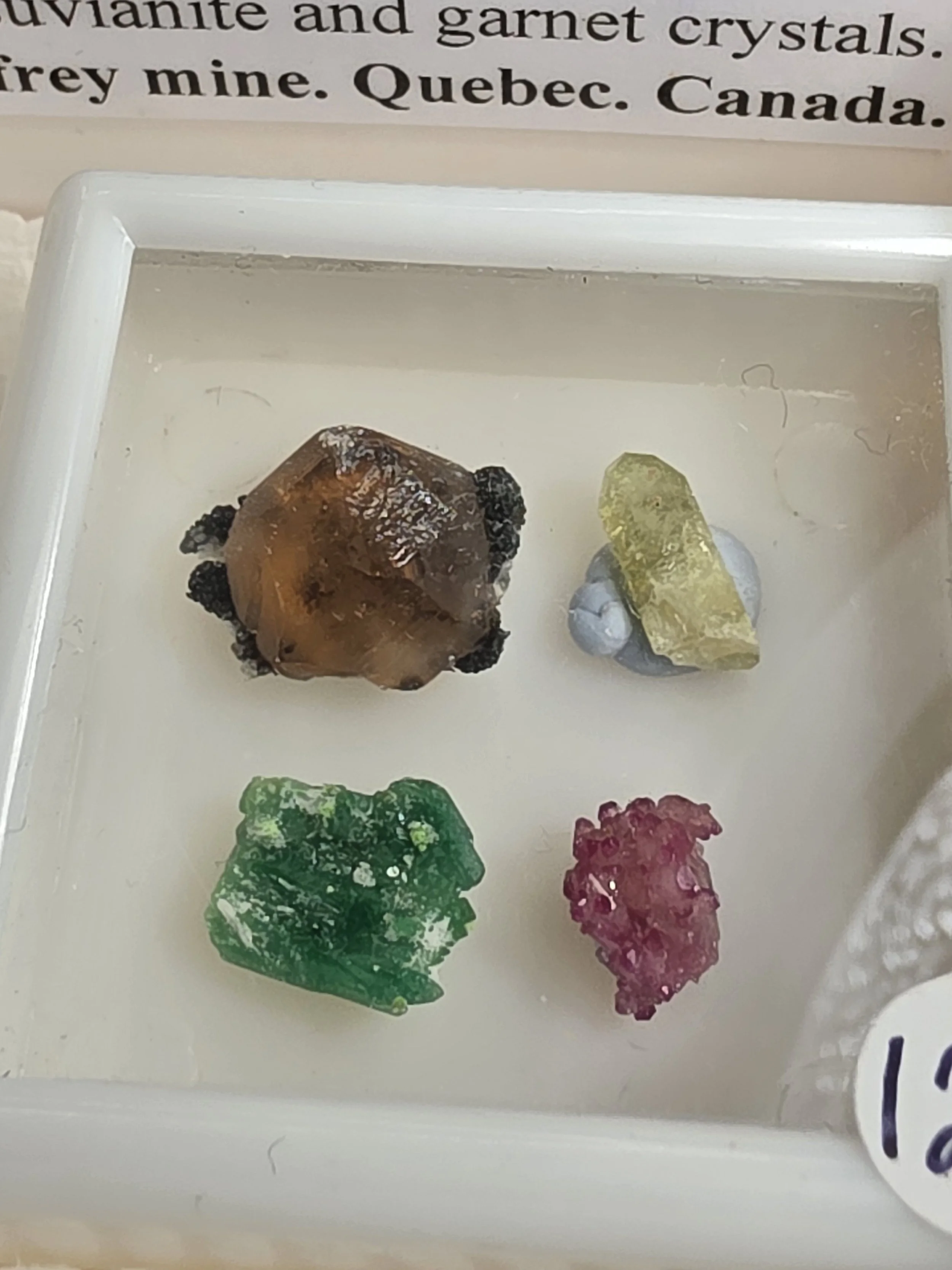 20260721_113754.jpg