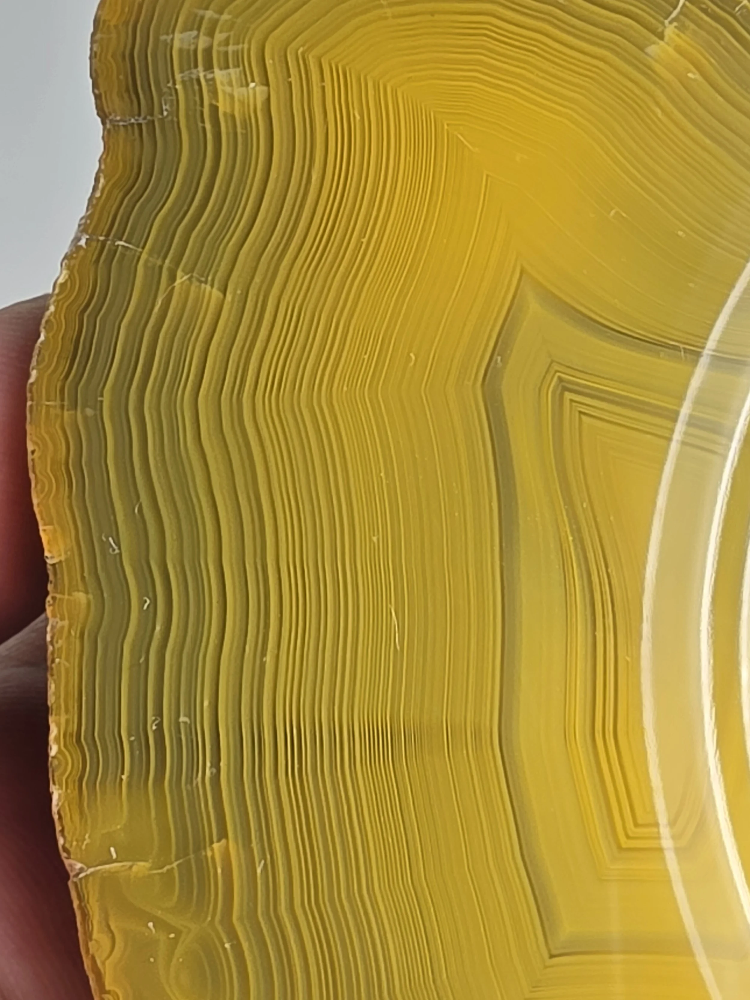 20260916_164633.jpg