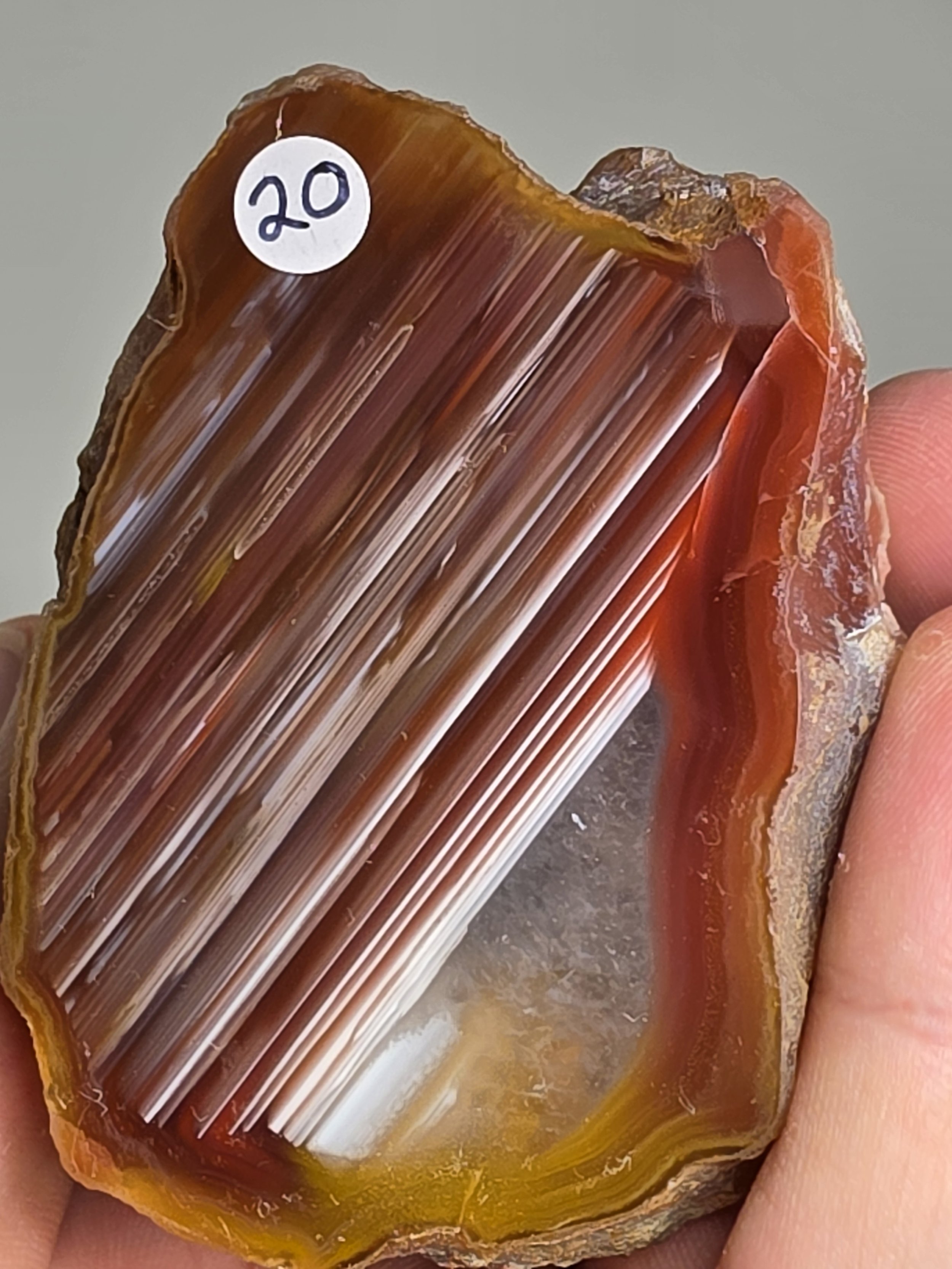 20260916_163902.jpg