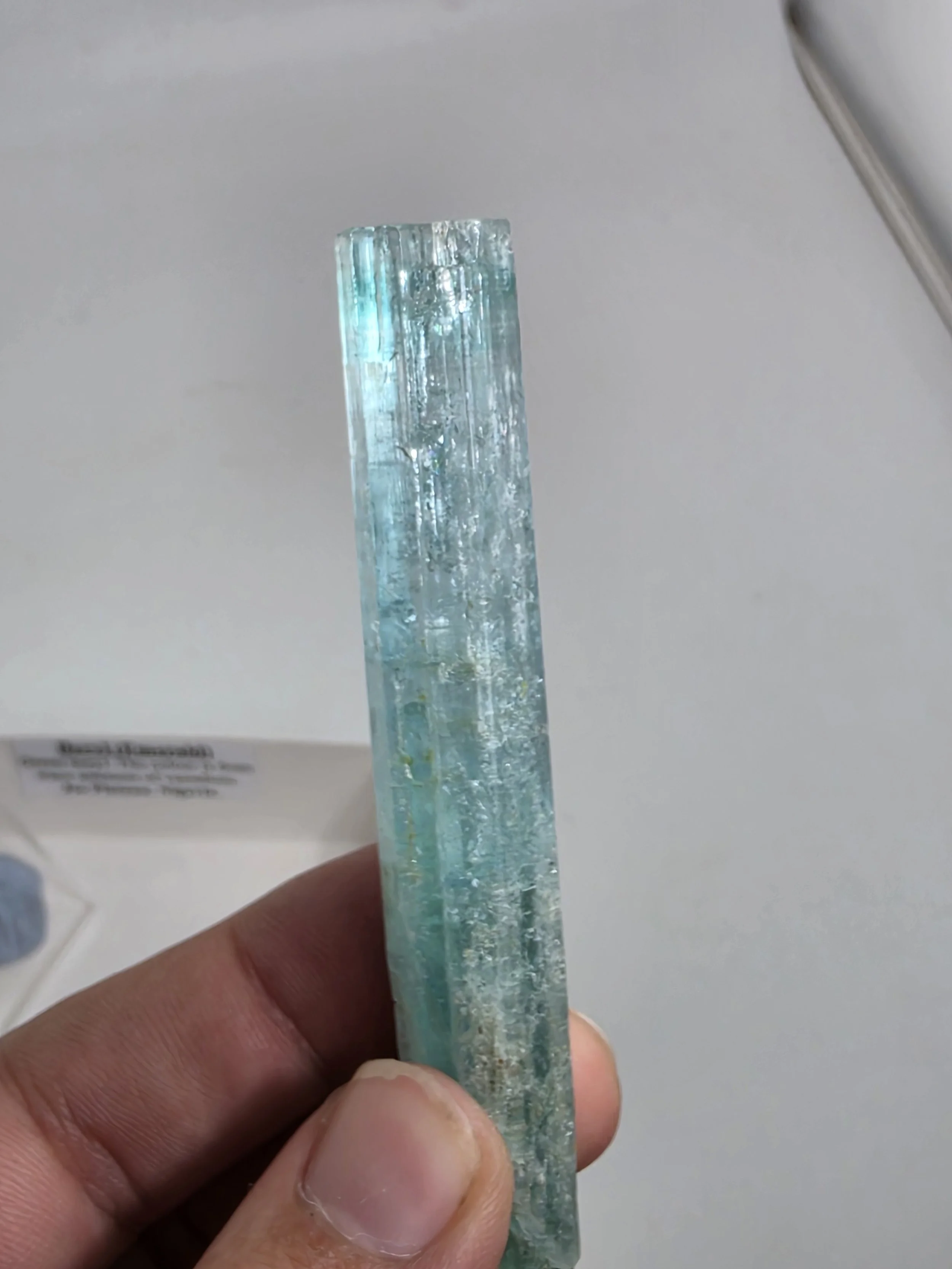20260721_113113.jpg