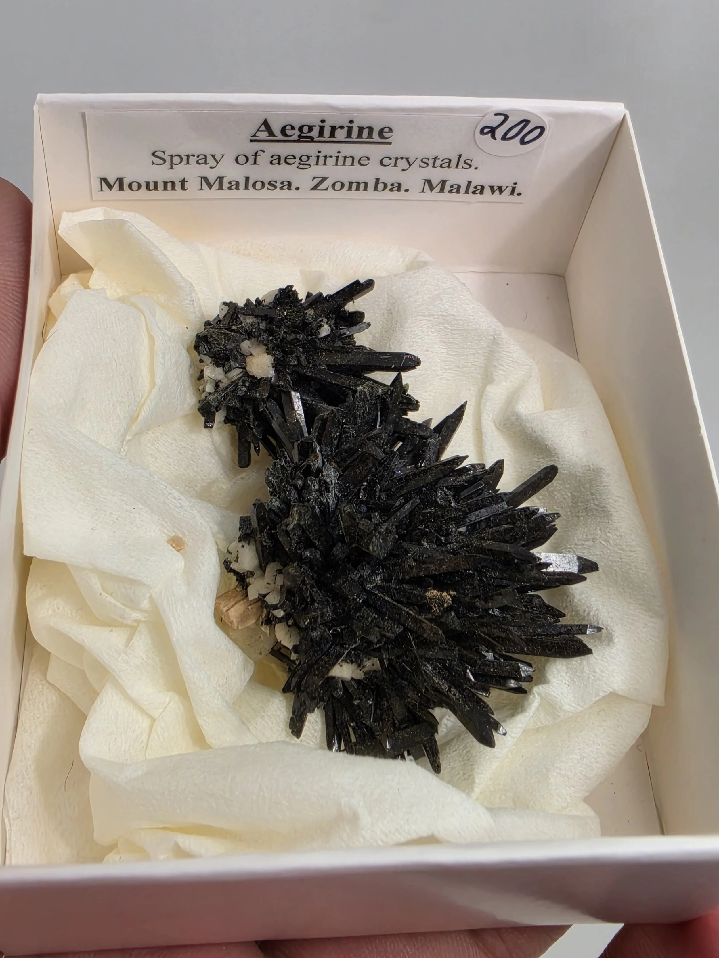 20260721_112858.jpg