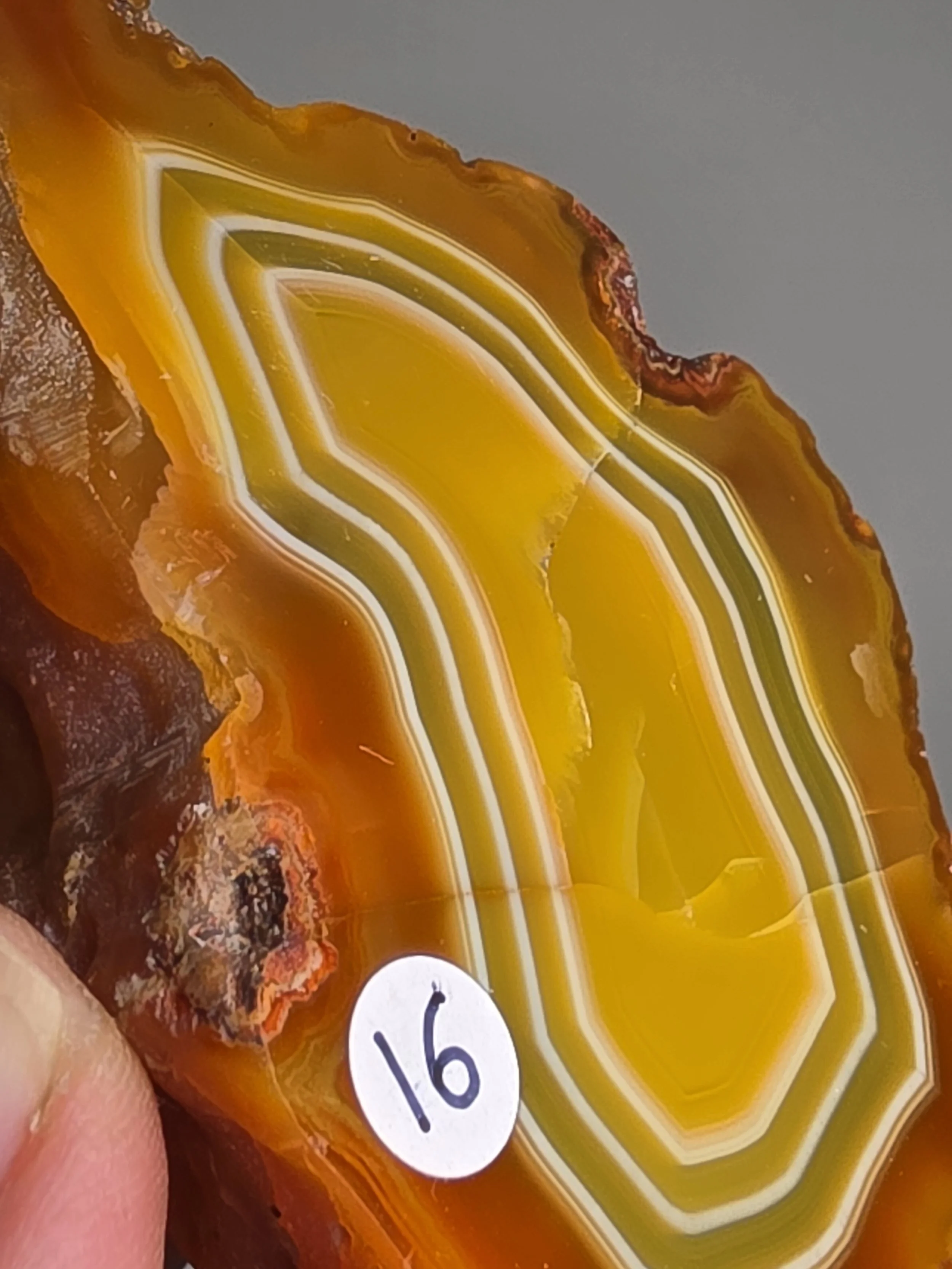 20260916_164407.jpg