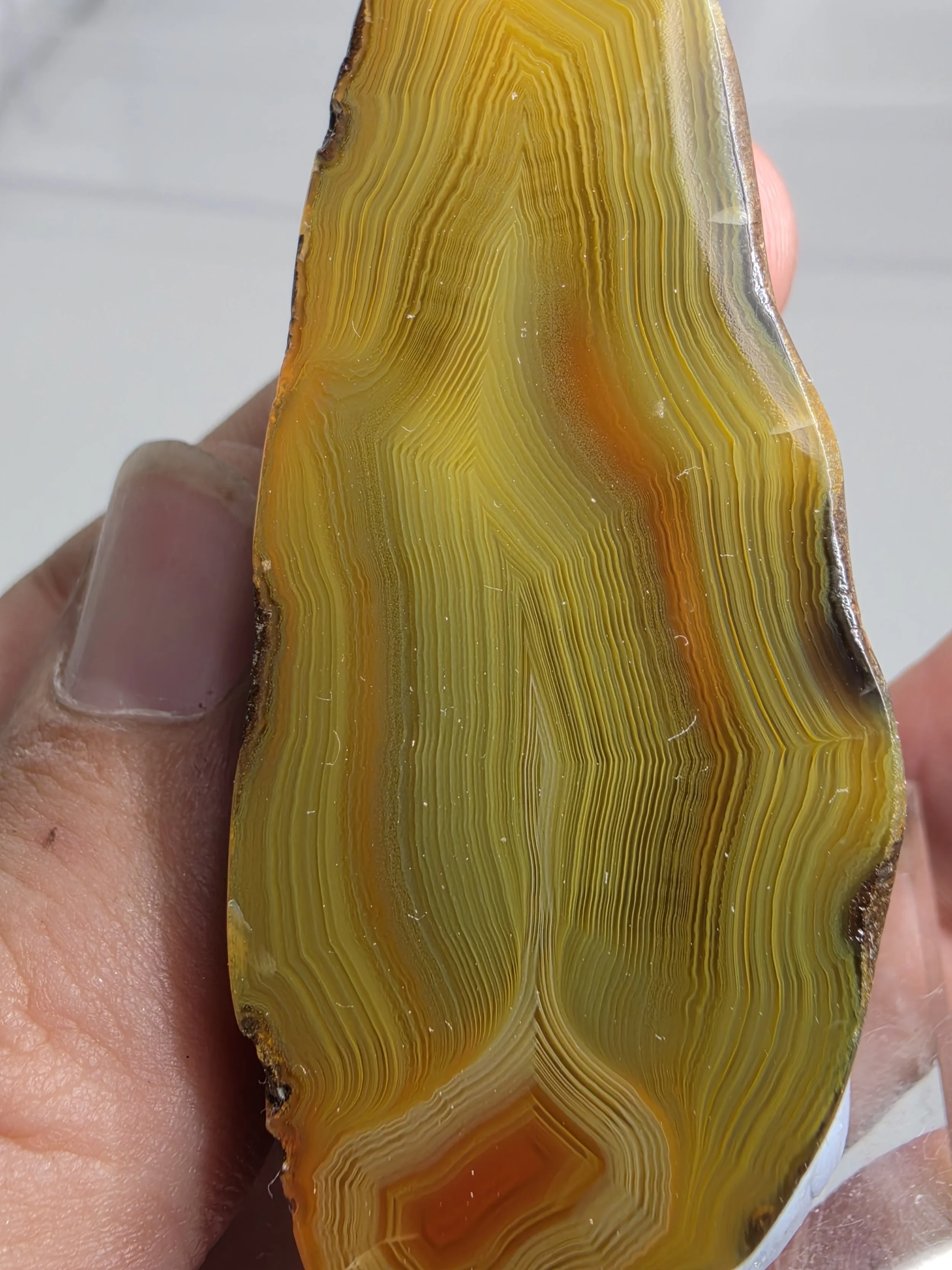20260921_162517.jpg