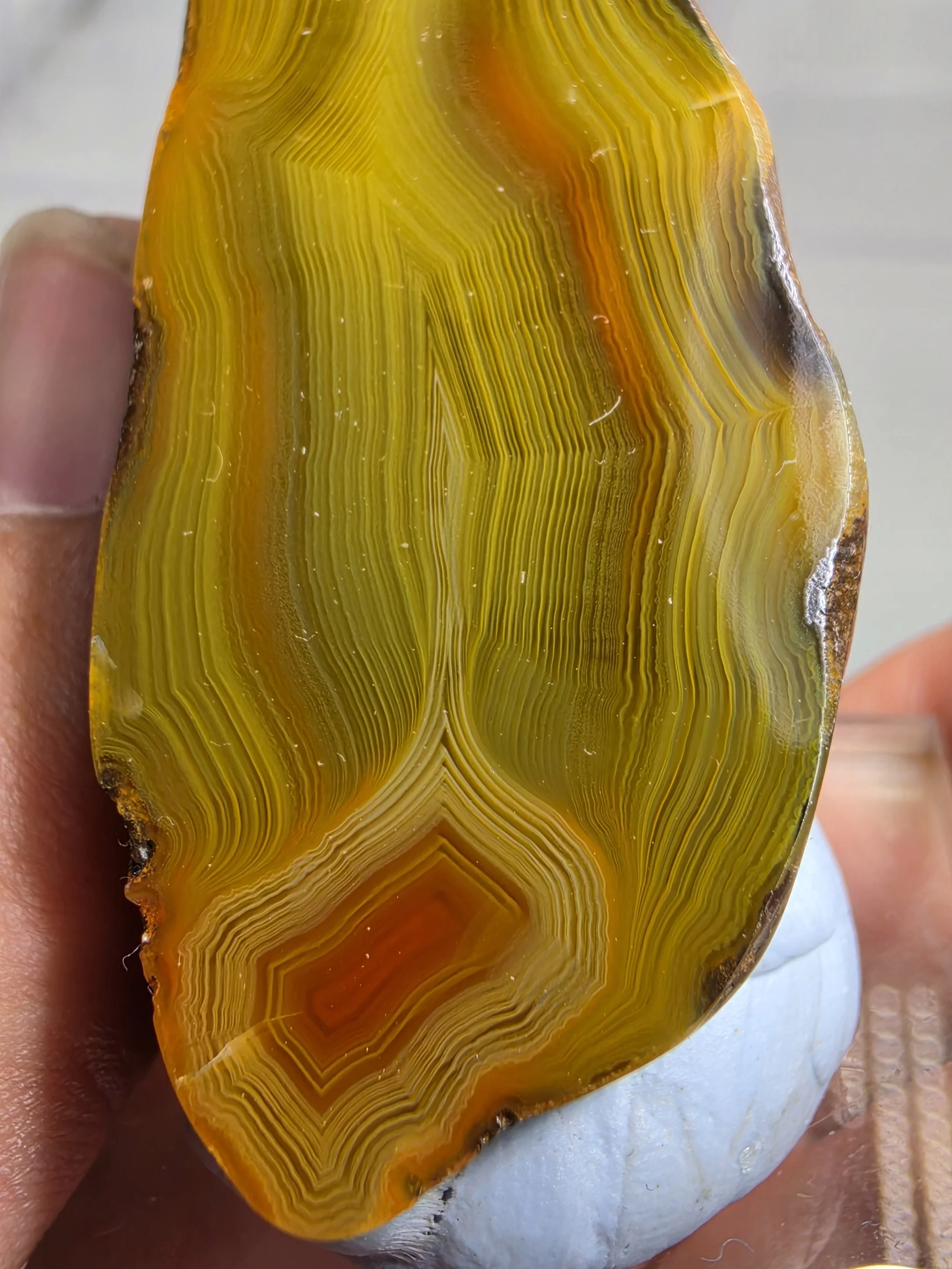 20260921_162523.jpg