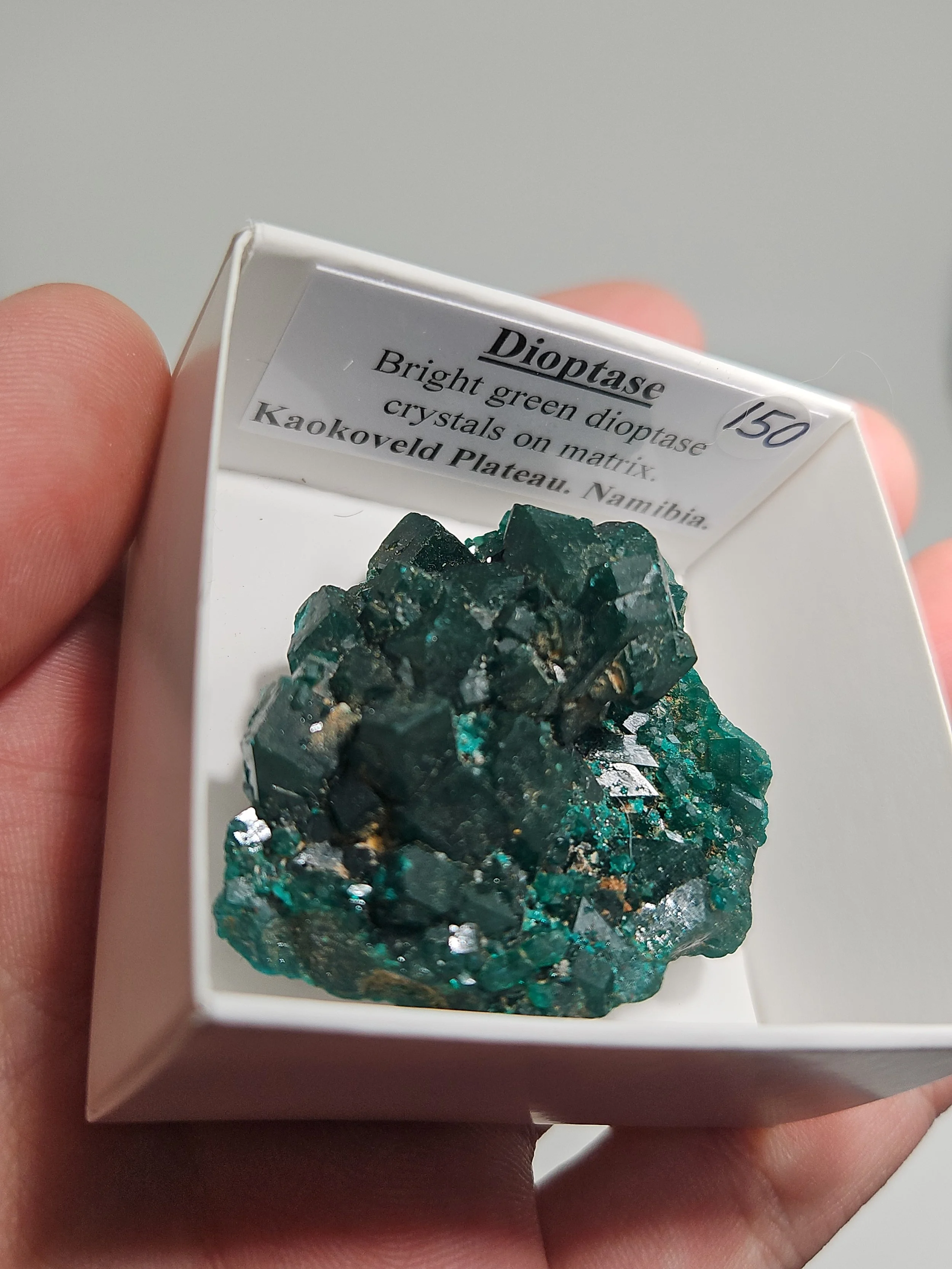 IMG_20260513_152037.jpg