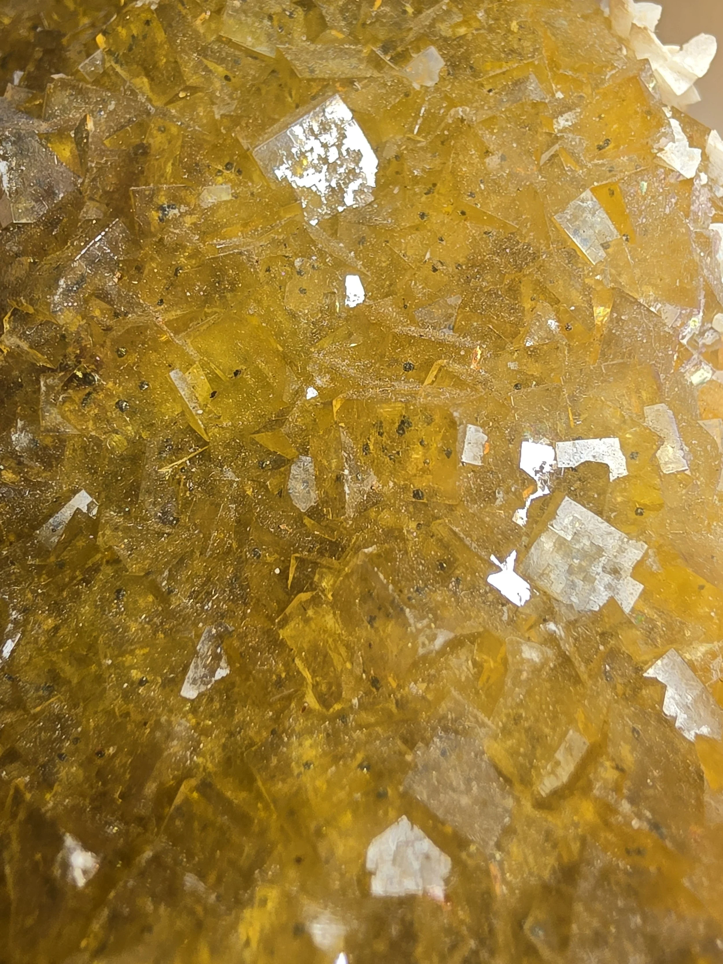 20261020_144021.jpg
