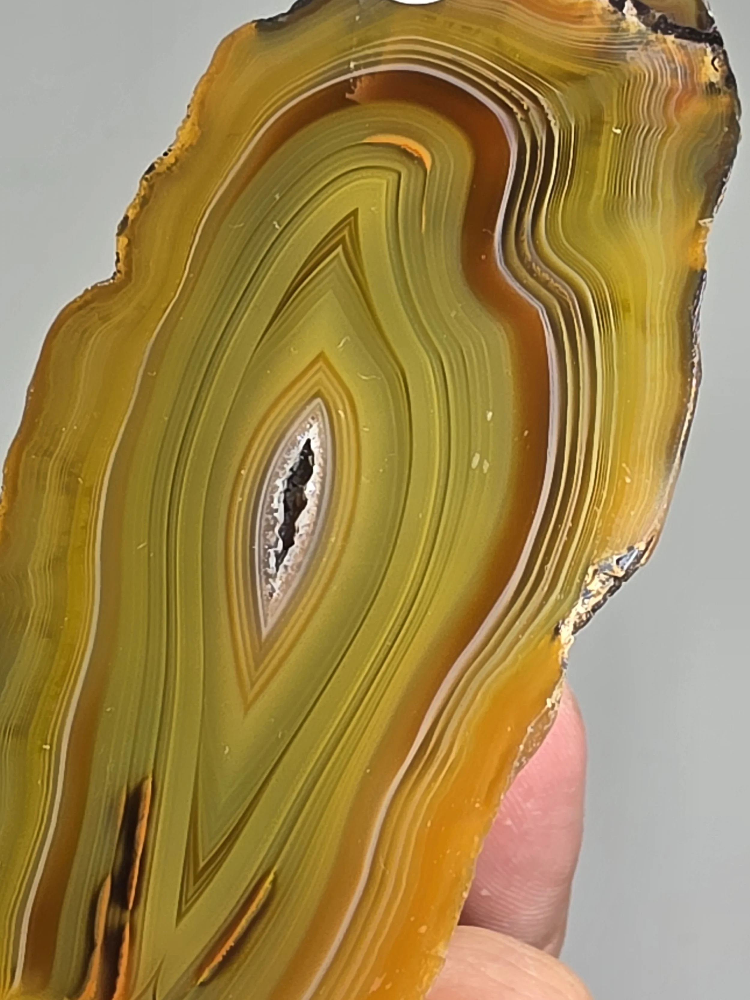 20260916_164739.jpg