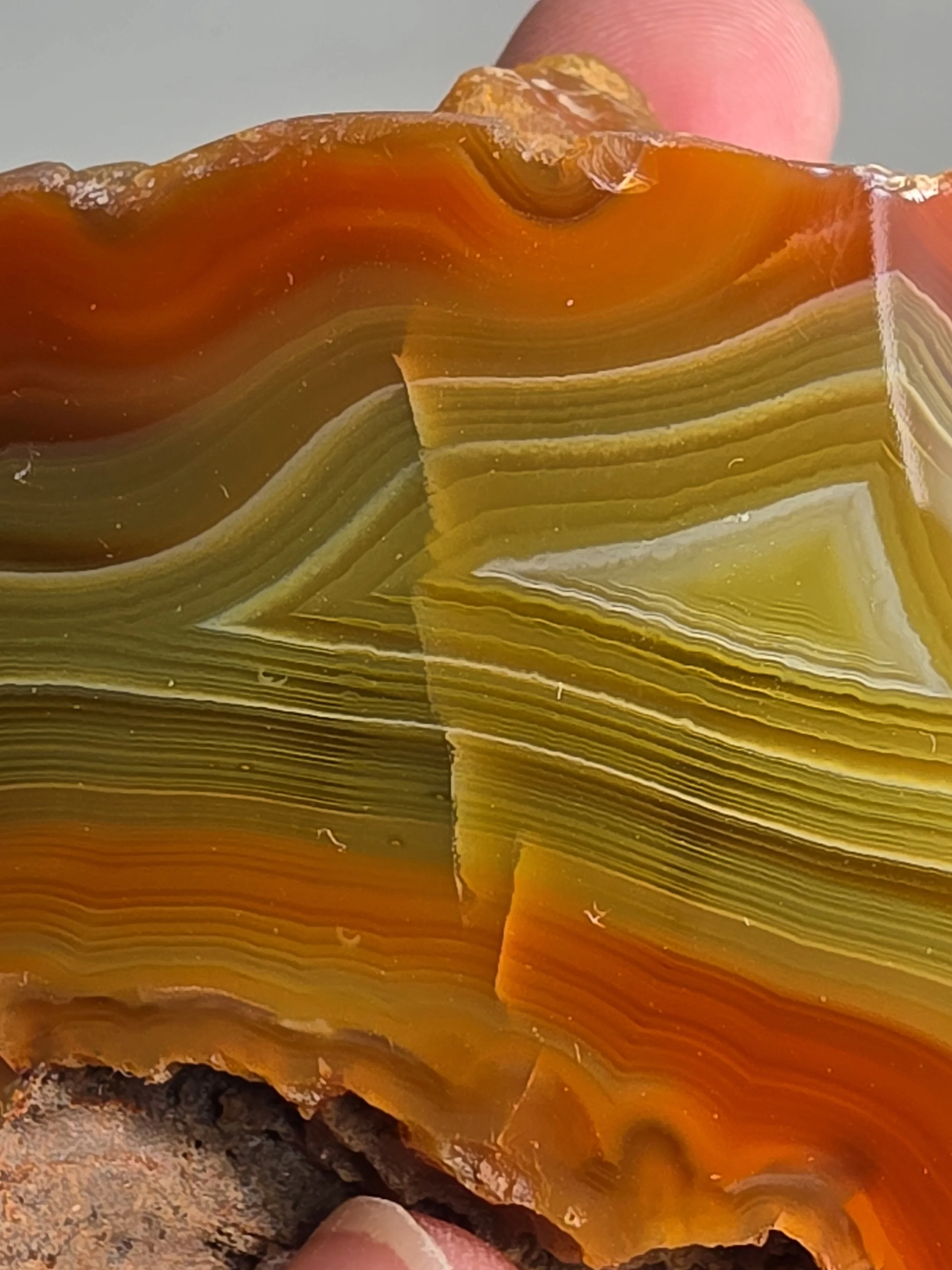 20260916_164022.jpg