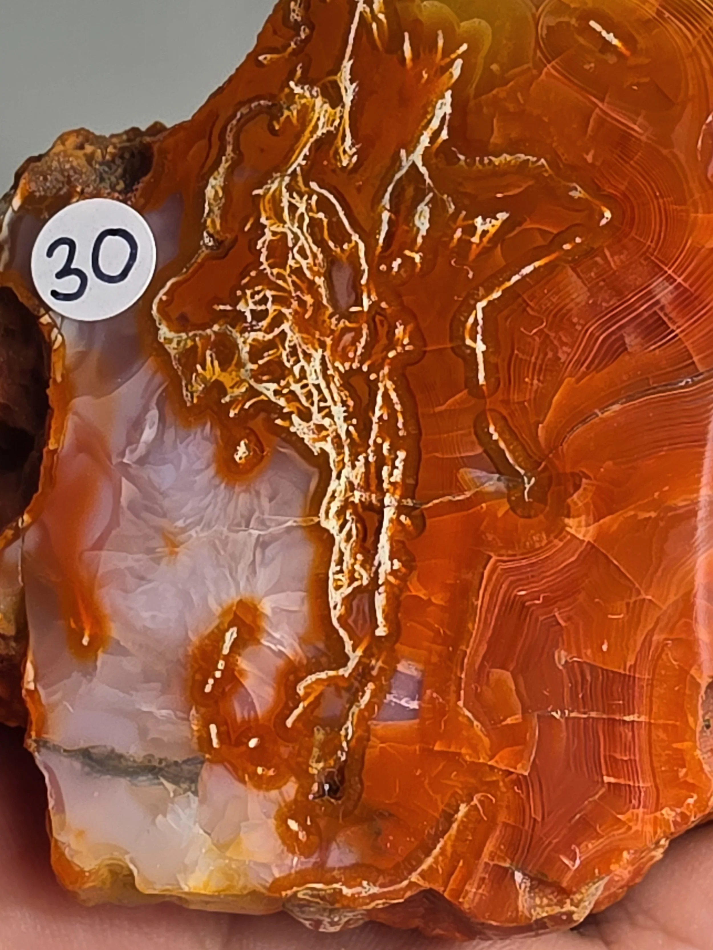 20260916_164517.jpg