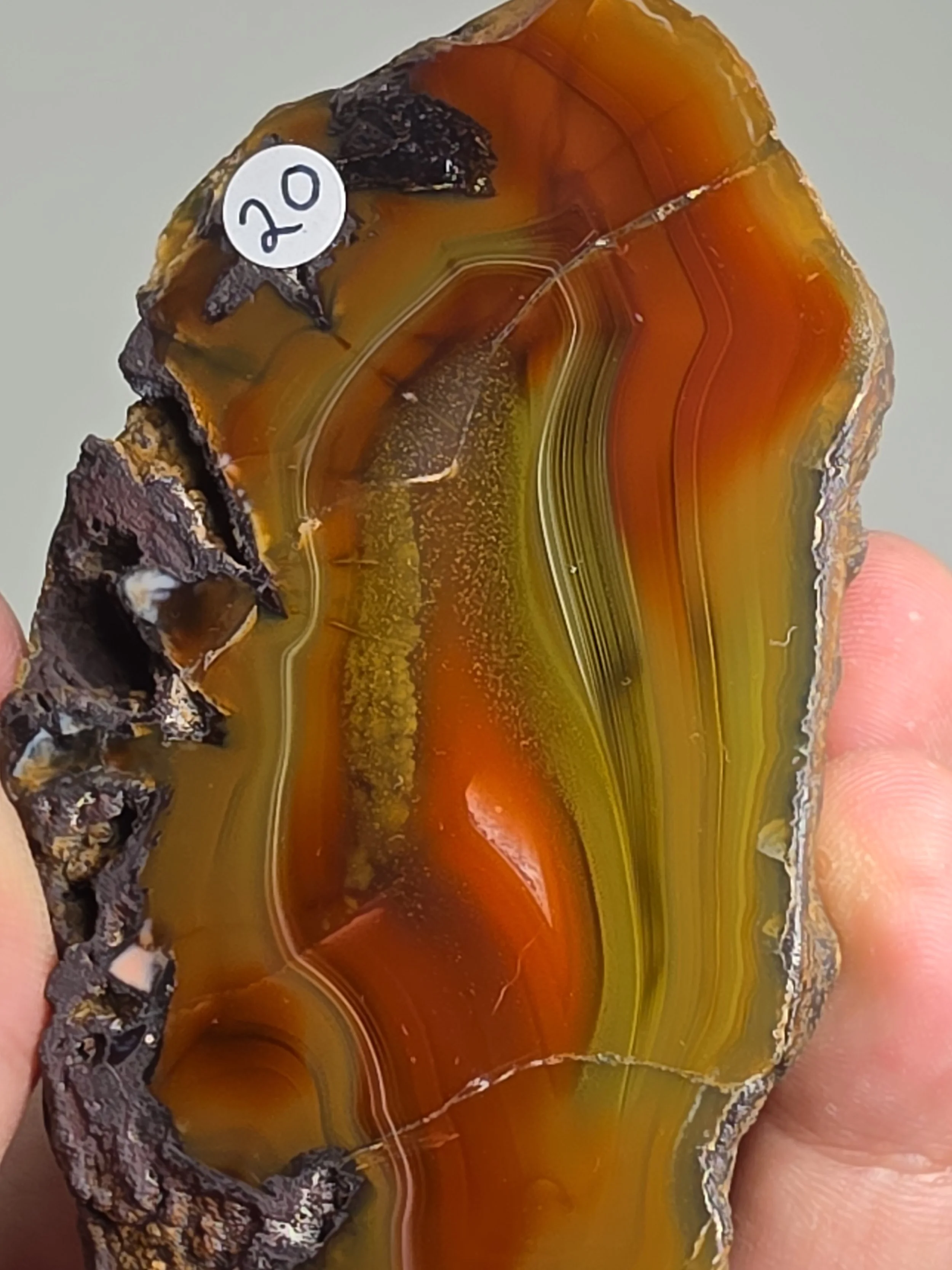 20260916_164549.jpg