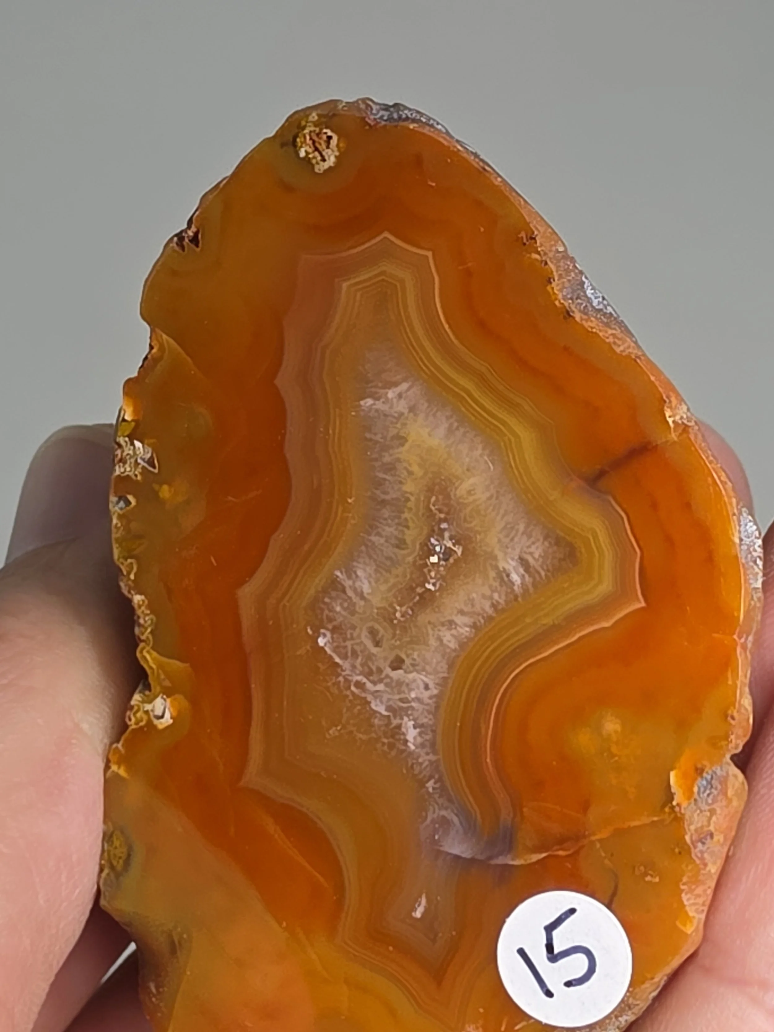 20260916_164123.jpg