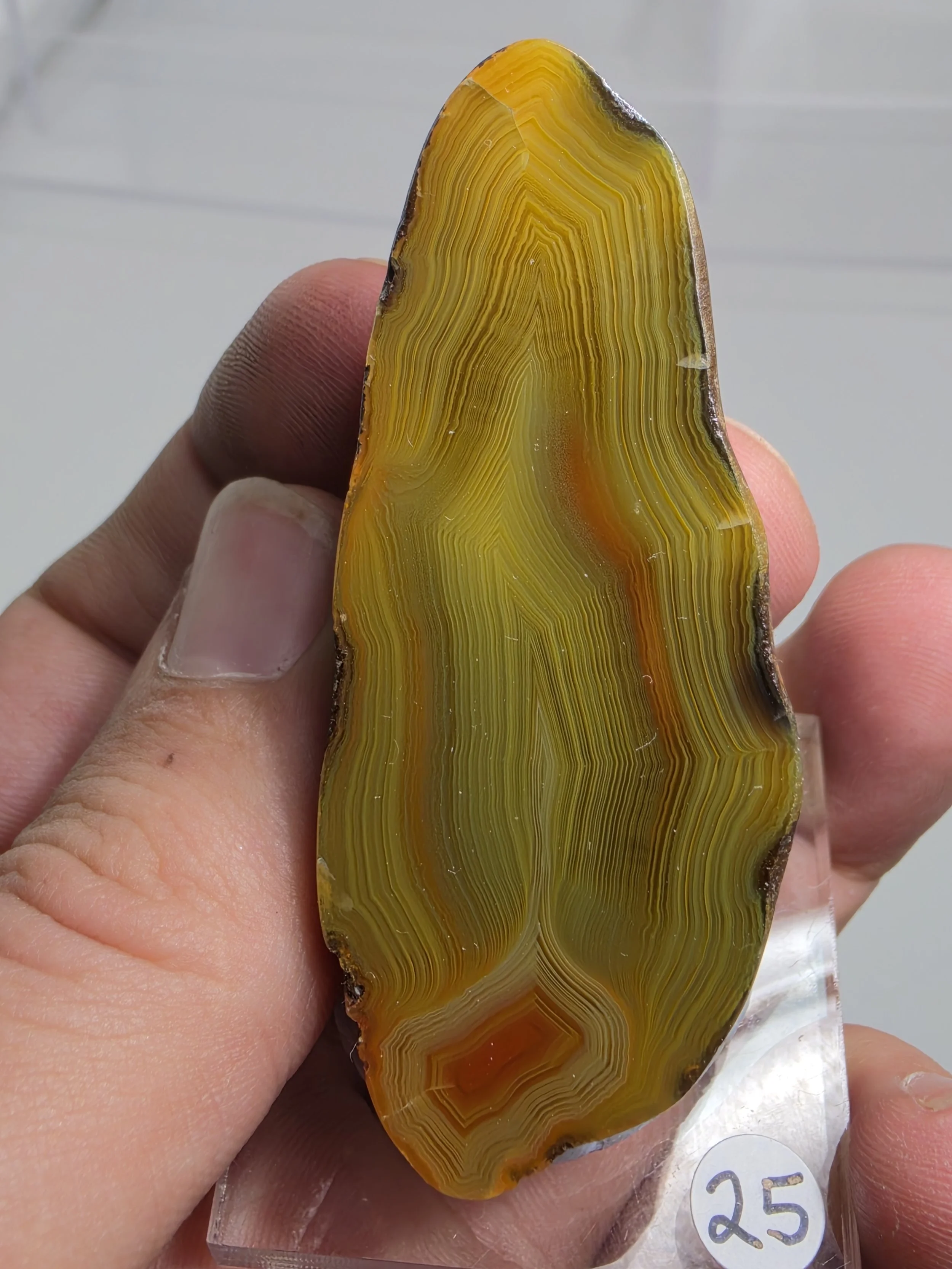20260921_162512.jpg