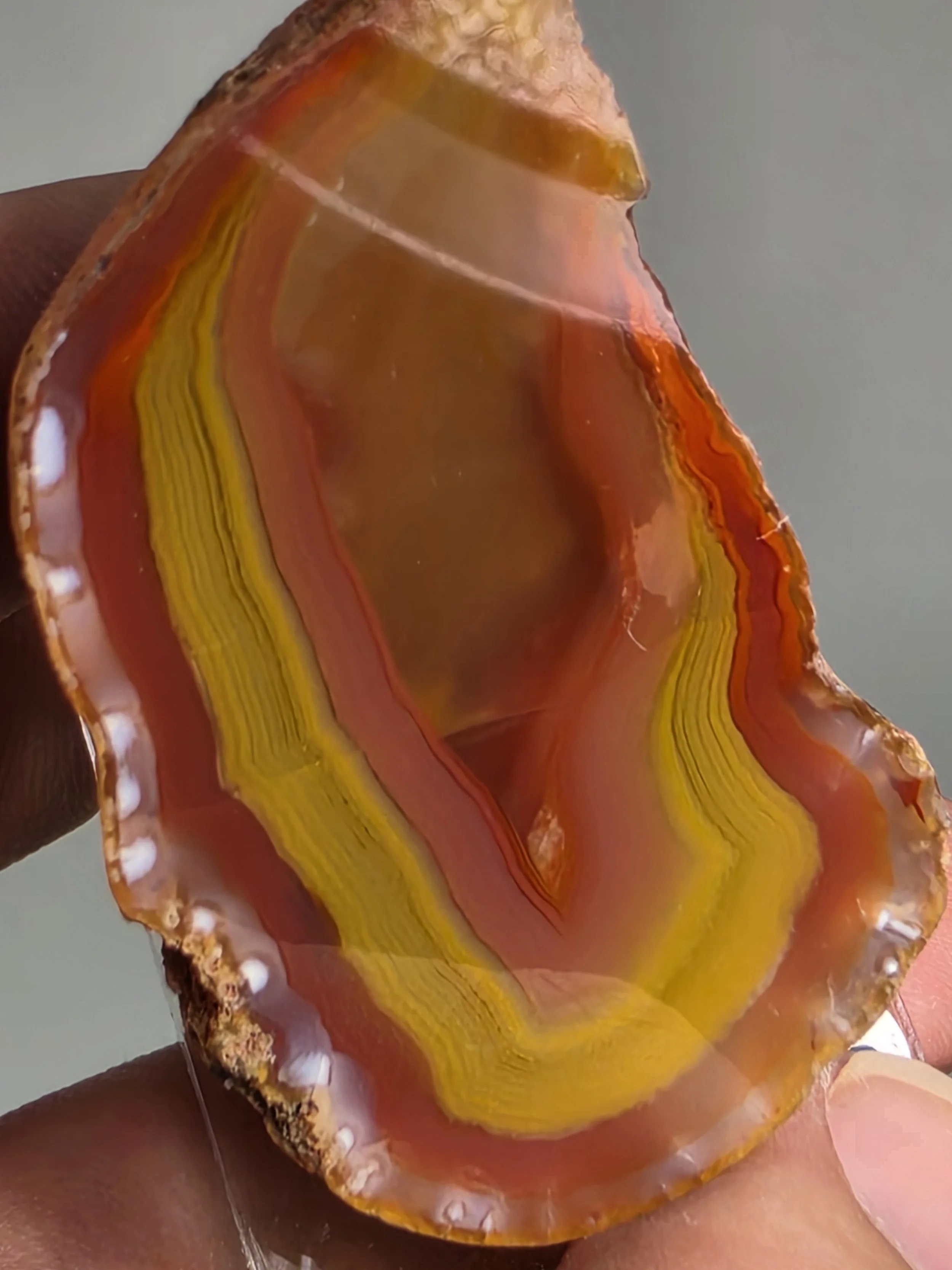 20260916_163341.jpg
