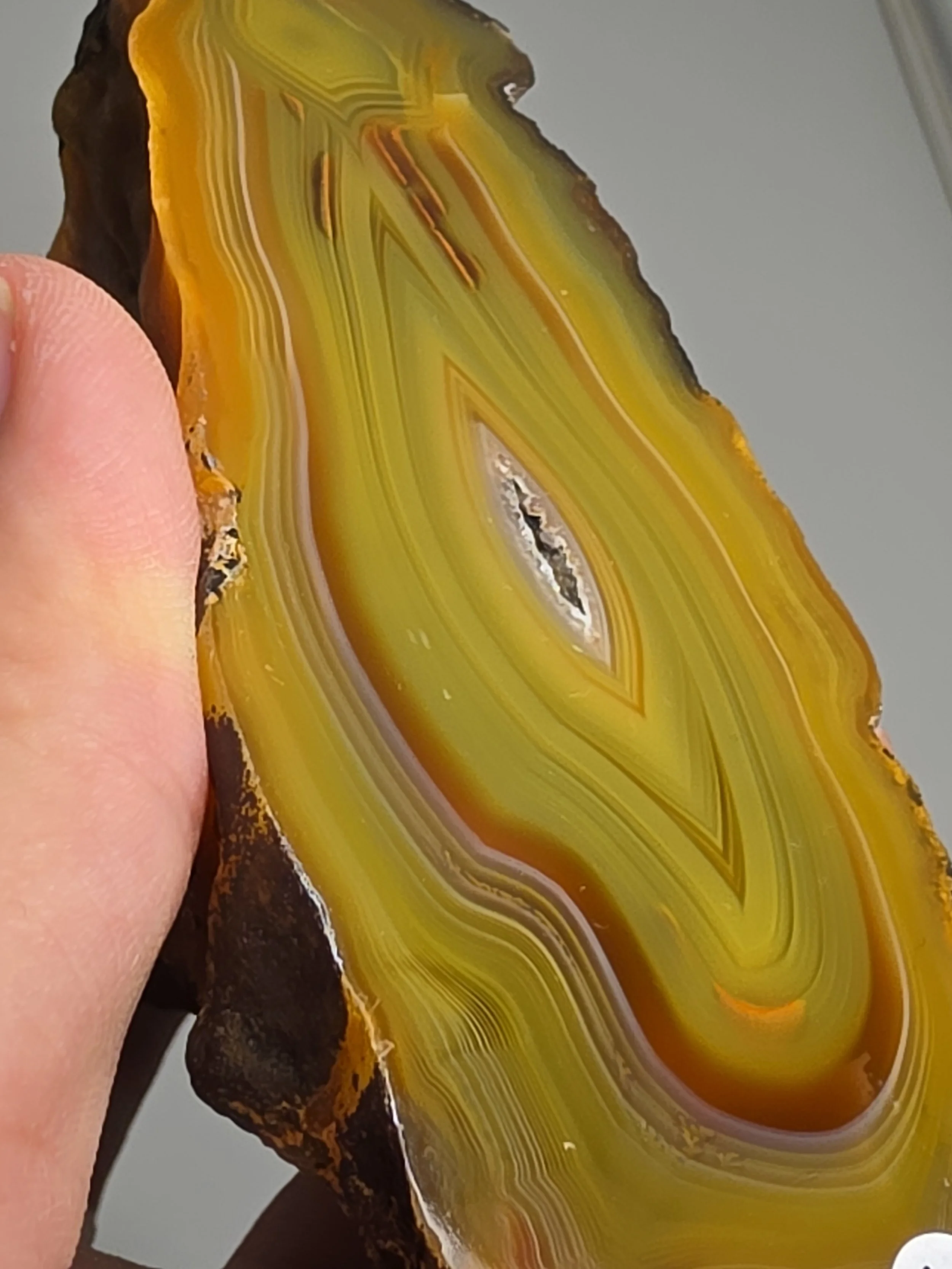 20260916_164814.jpg