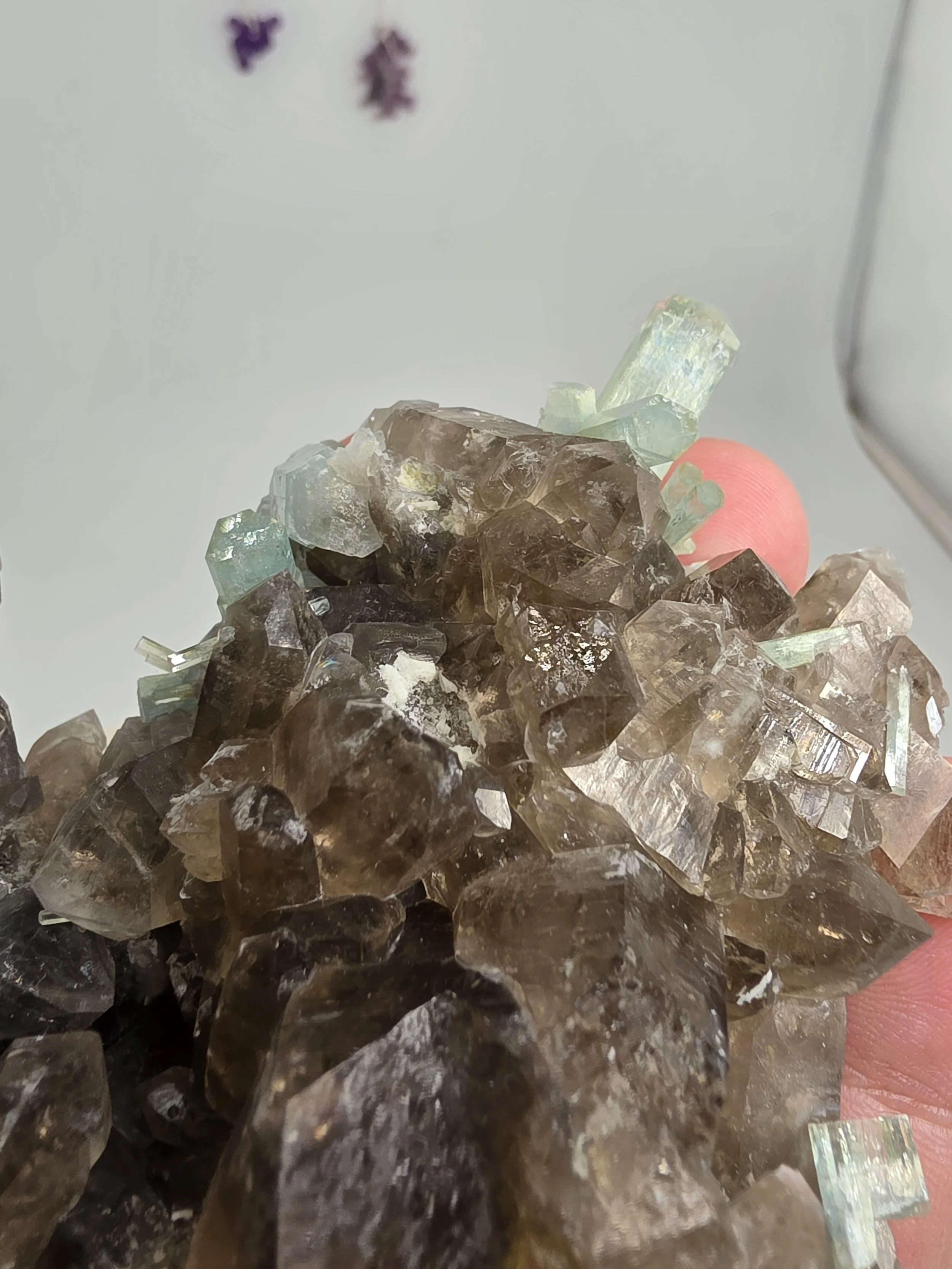 20260721_112752.jpg