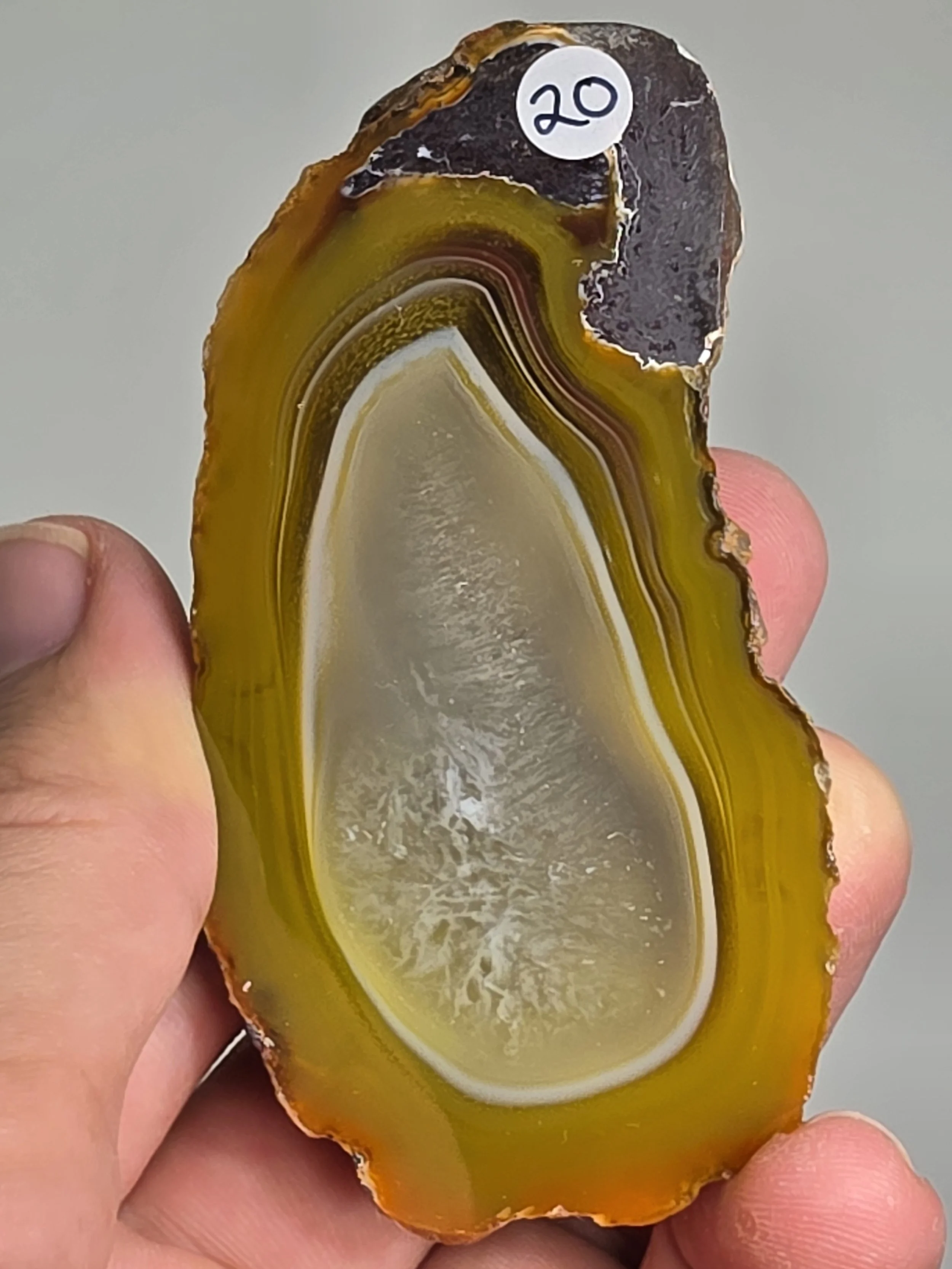 20260916_164220.jpg