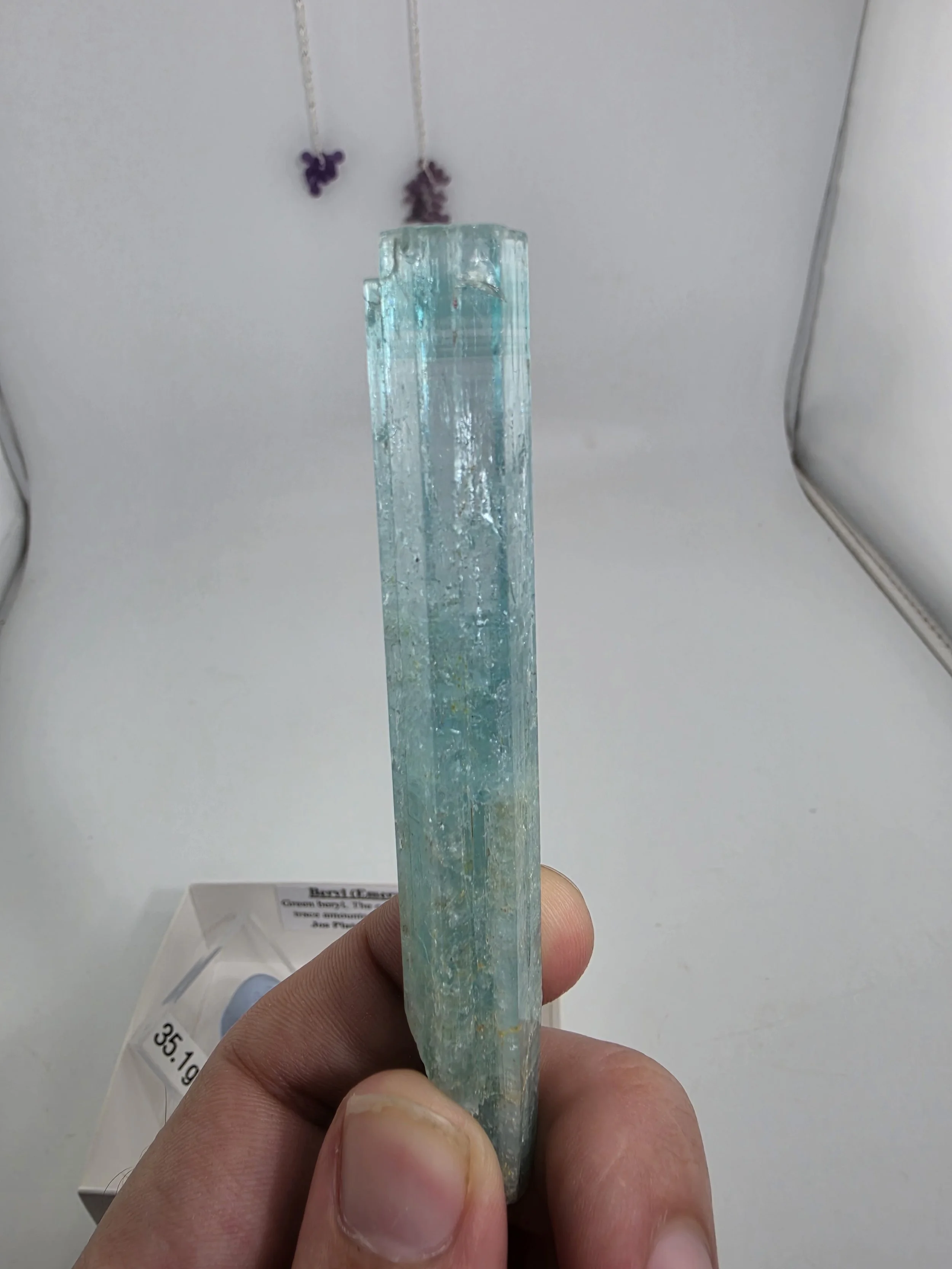 20260721_112935.jpg