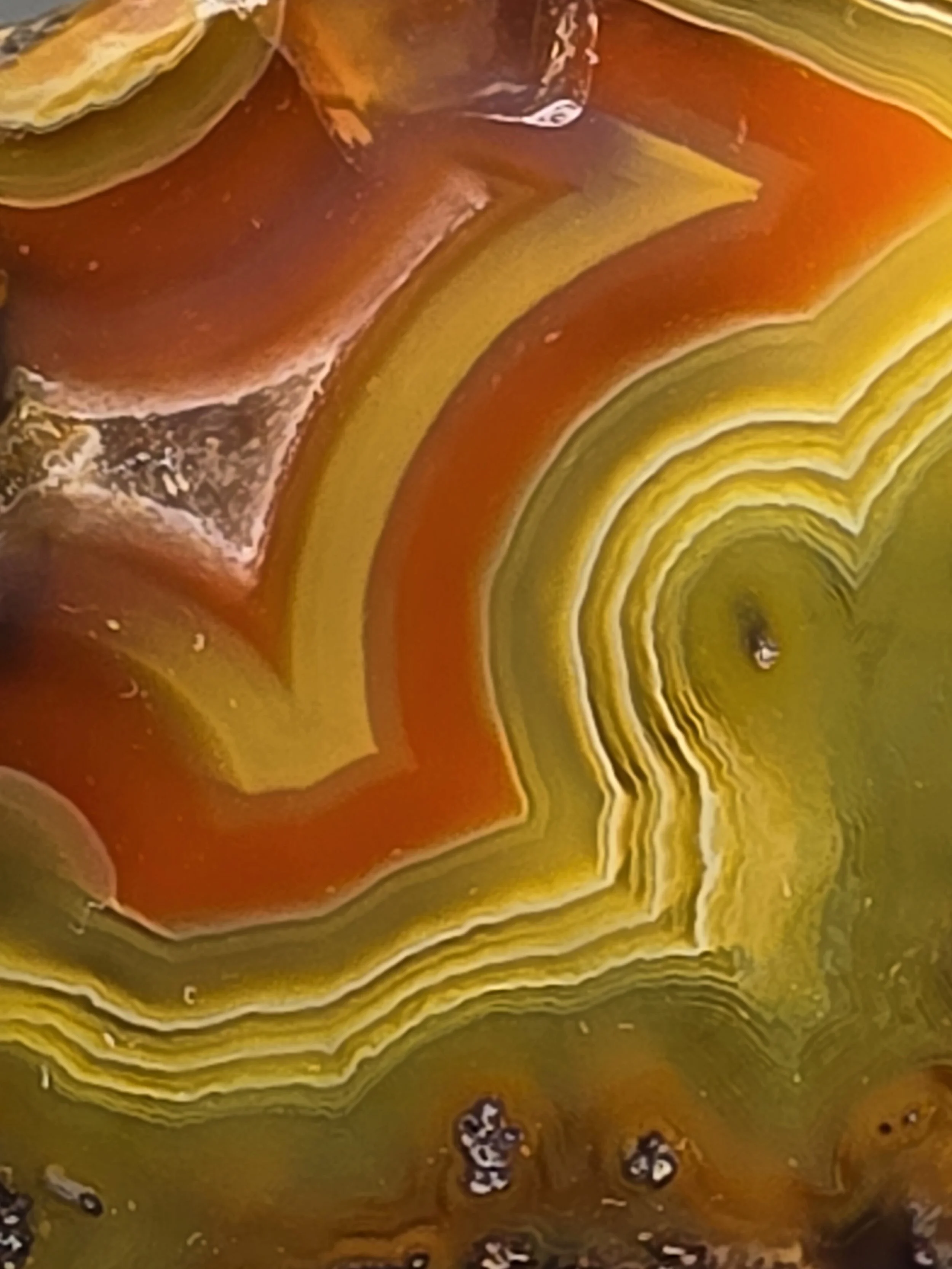 20260916_164910.jpg