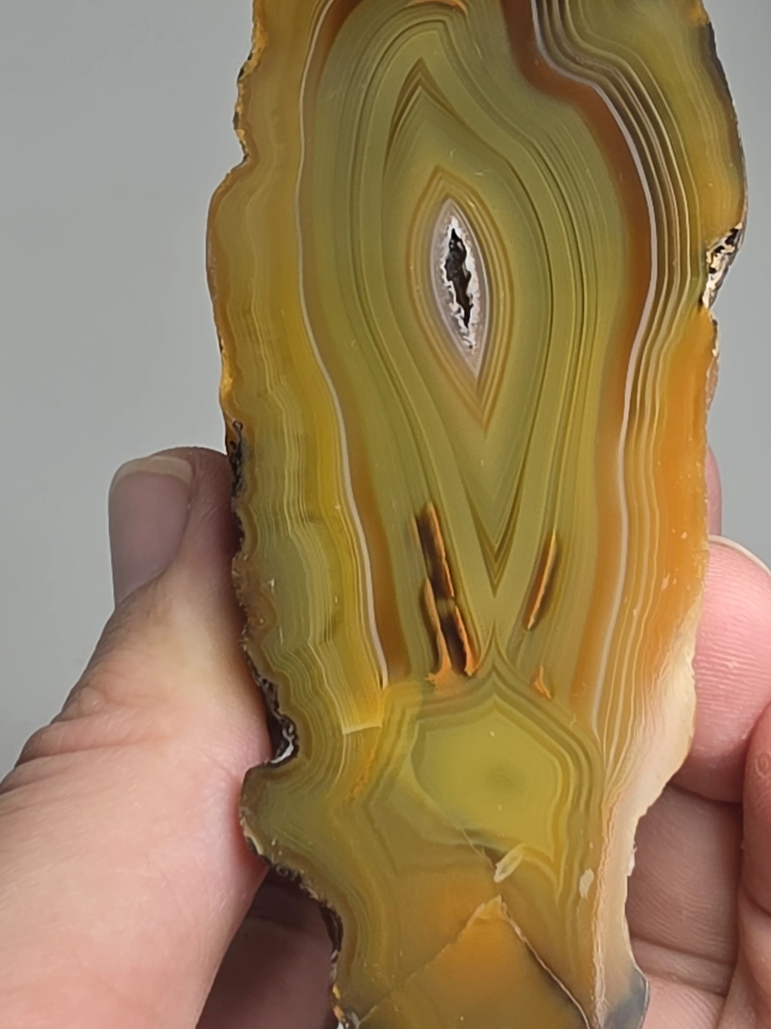 20260916_164735.jpg