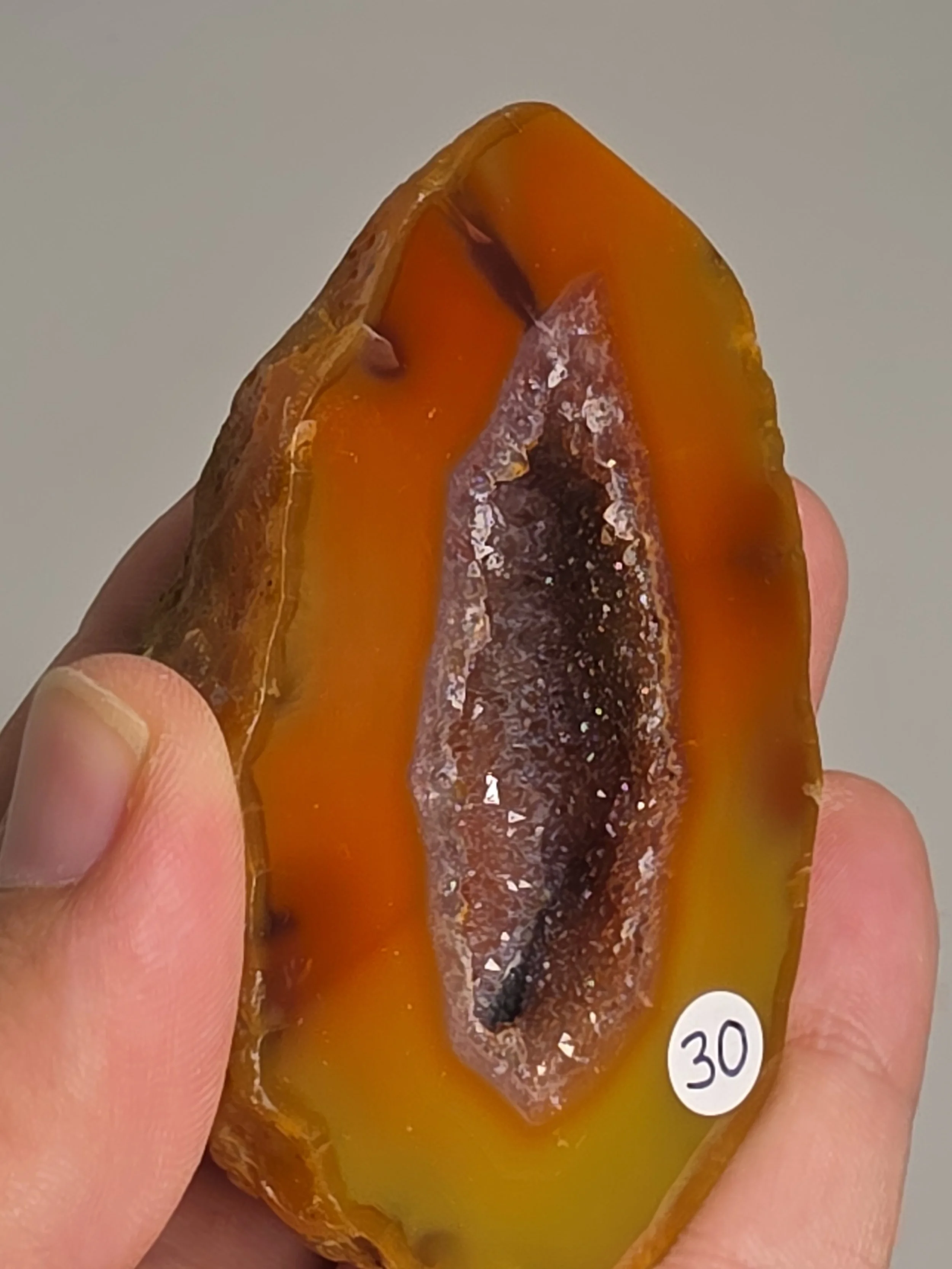 20260916_164324.jpg
