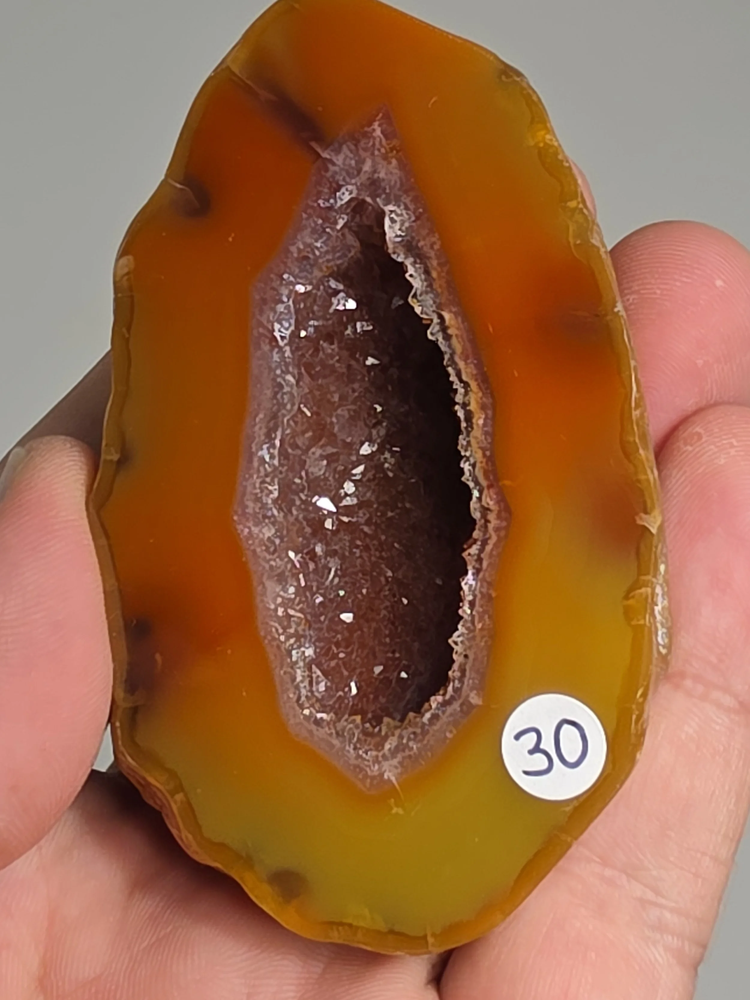 20260916_164336.jpg
