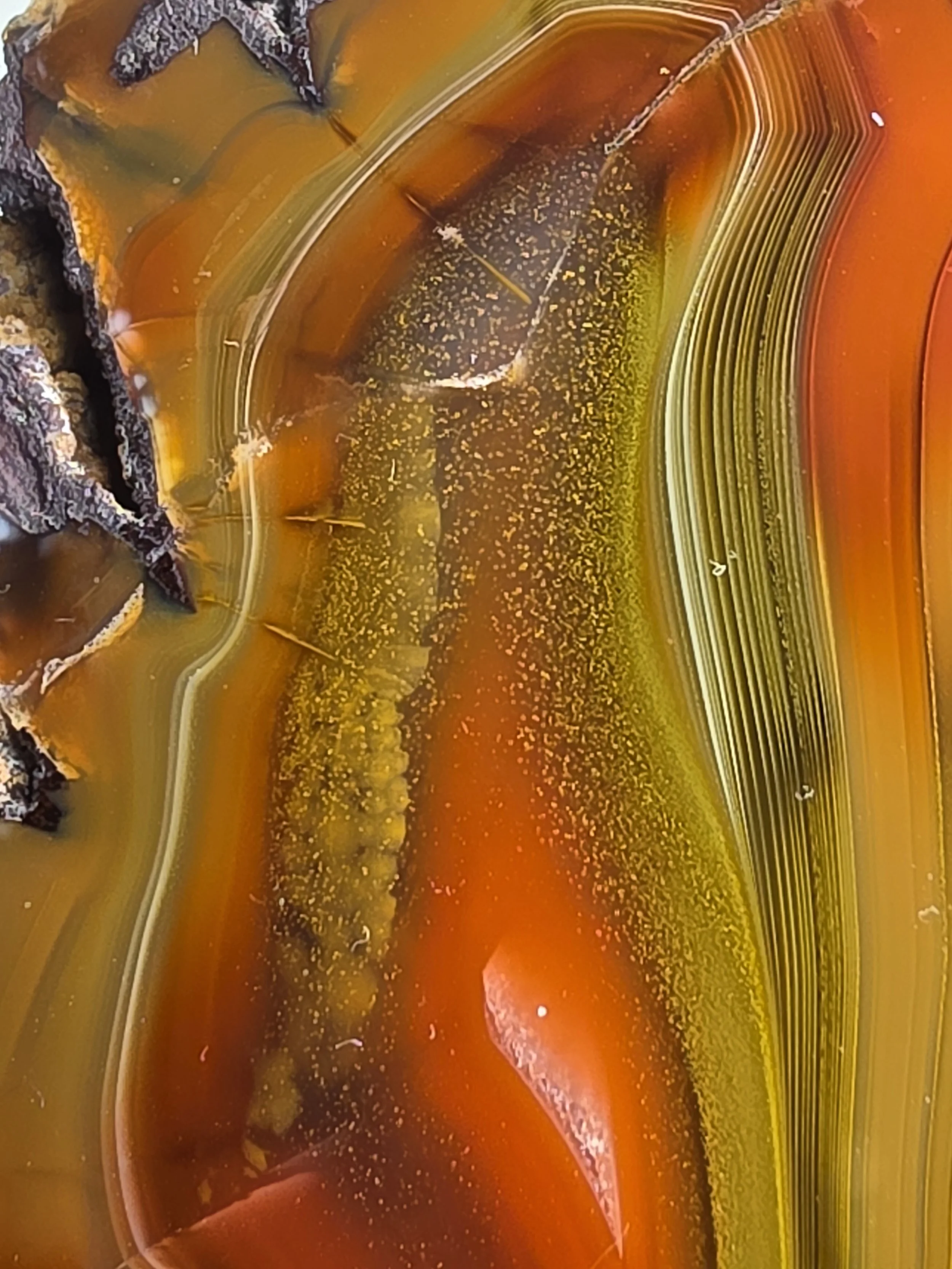20260916_164602.jpg