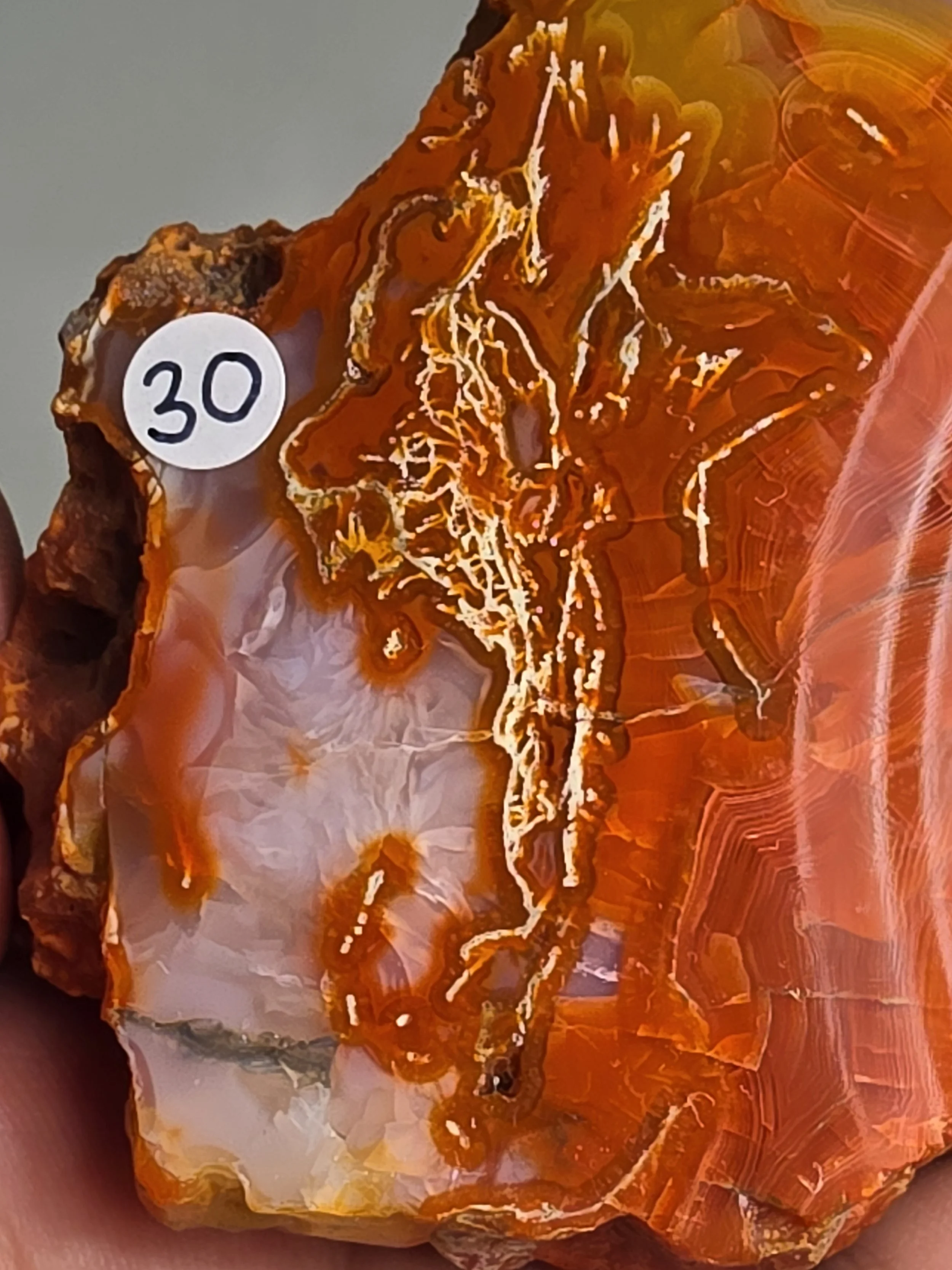 20260916_164519.jpg