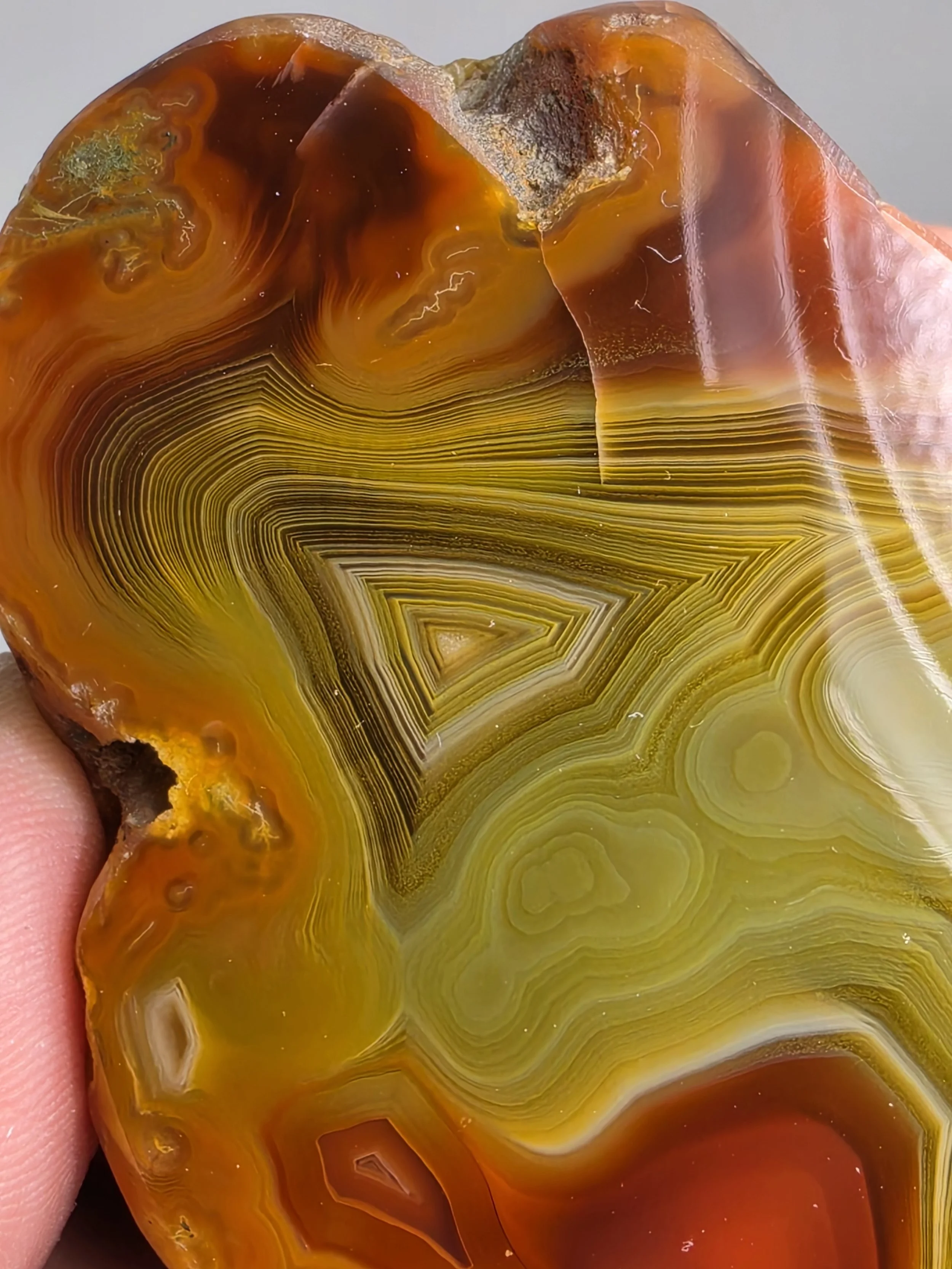 20260916_163751.jpg